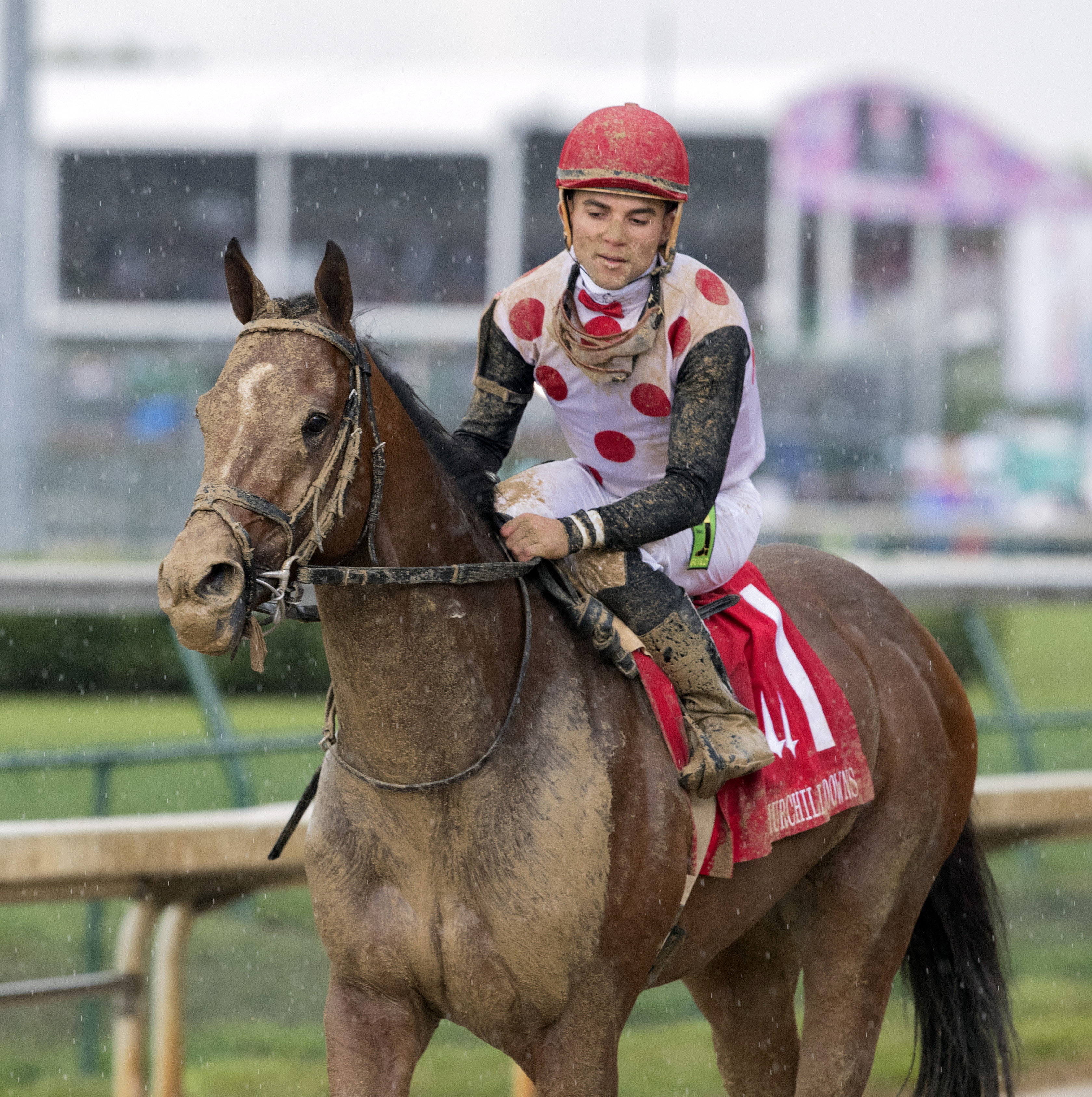 Awesome Slew after finishing second in the 2017 Churchill Downs Stakes