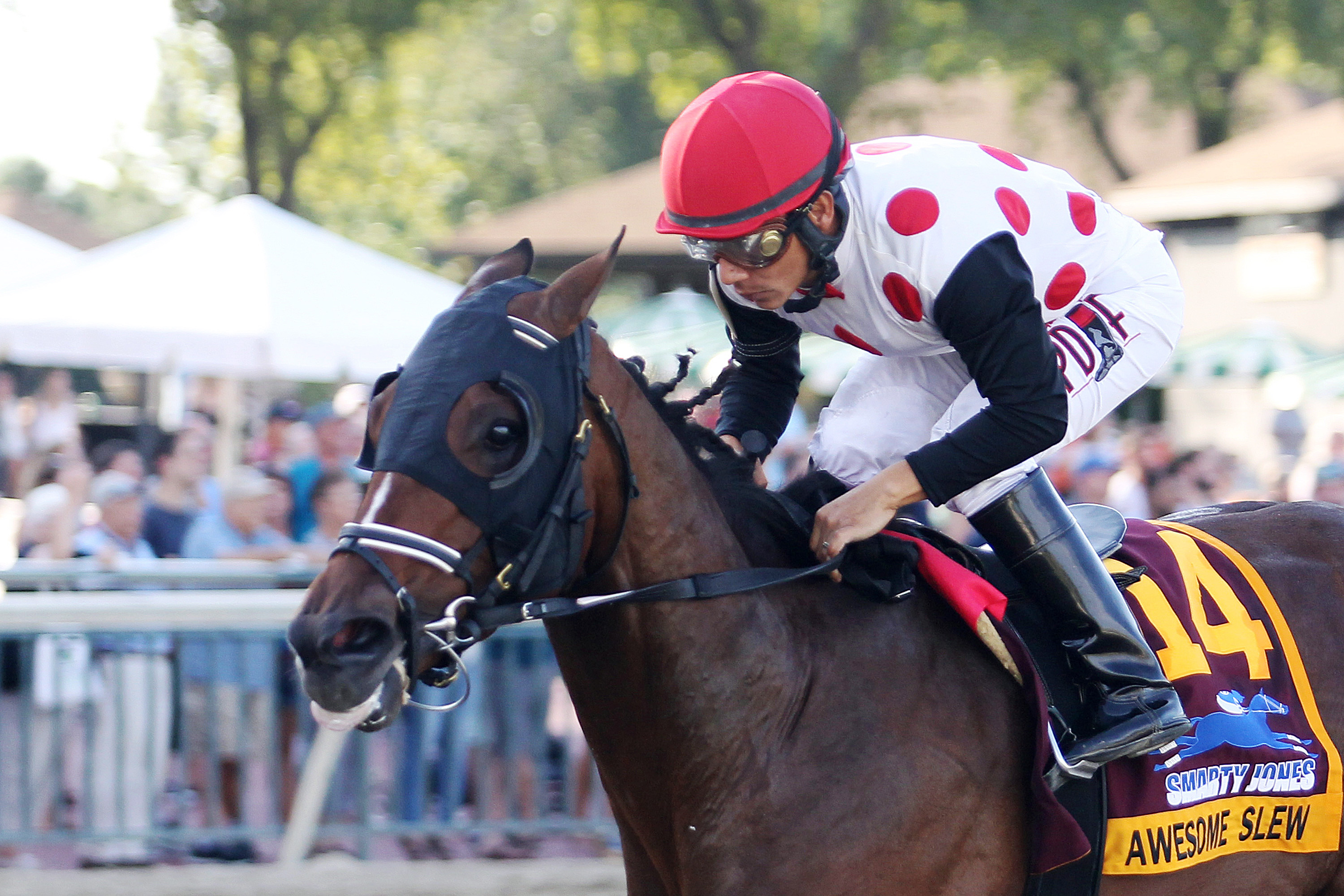 Awesome Slew wins the Smarty Jones Stakes
