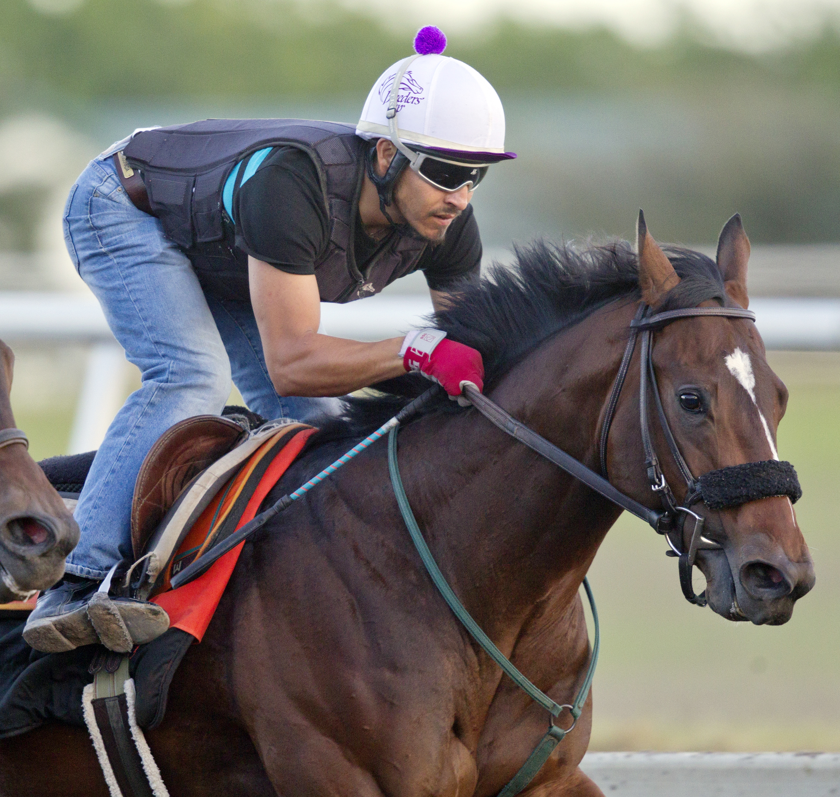 Awesome Speed works at Palm Meadows on March 23