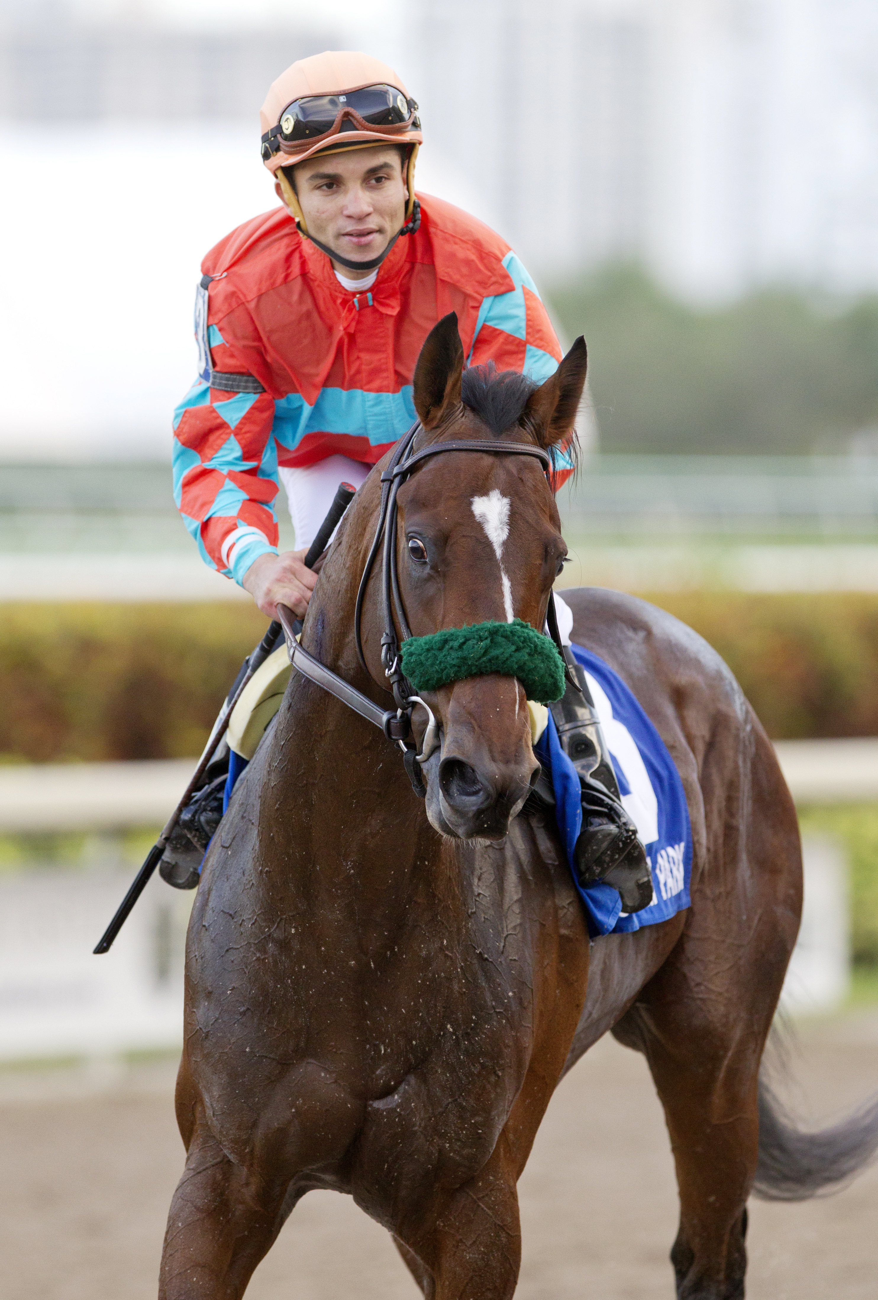 Awesome Speed wins the Mucho Macho Man Stakes