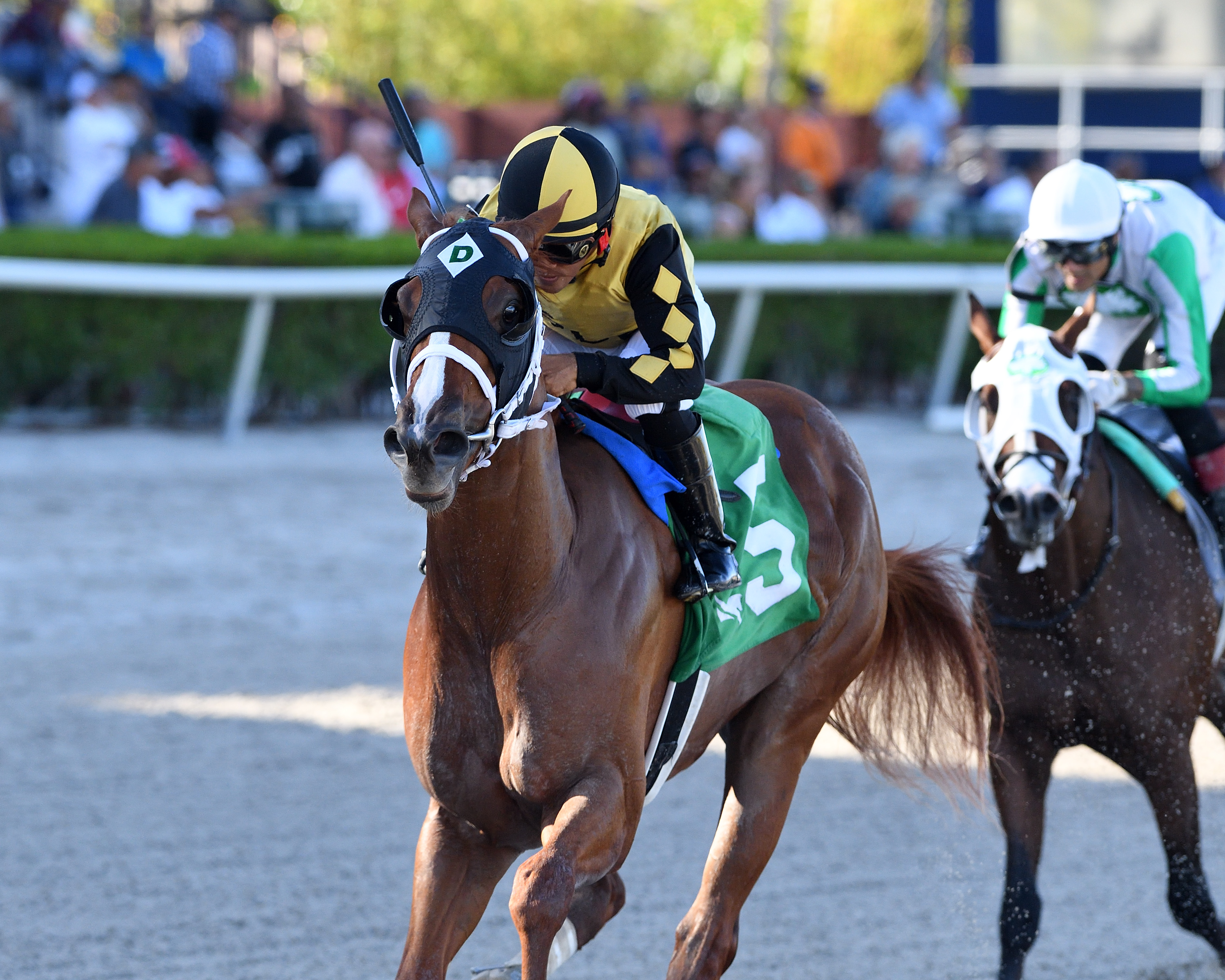 Awesome Strong wins FSS Affirmed Division 9-3-2022