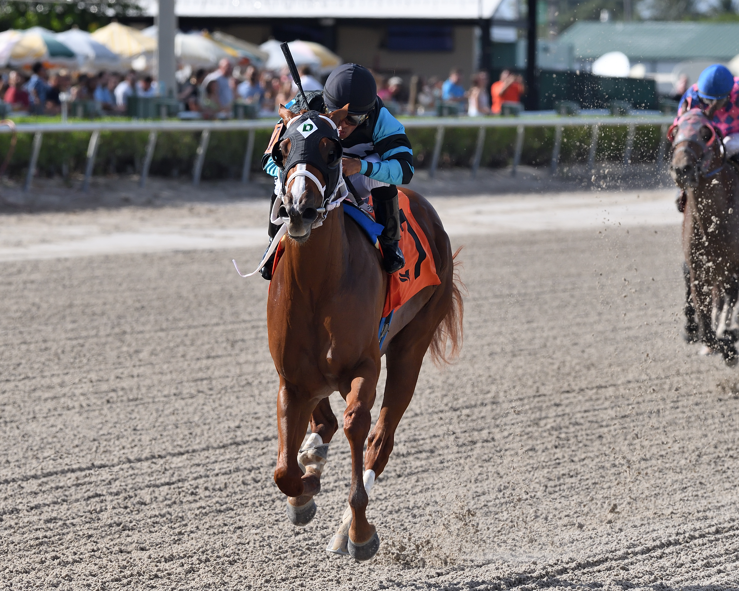 Awesome Strong, Dr. Fager