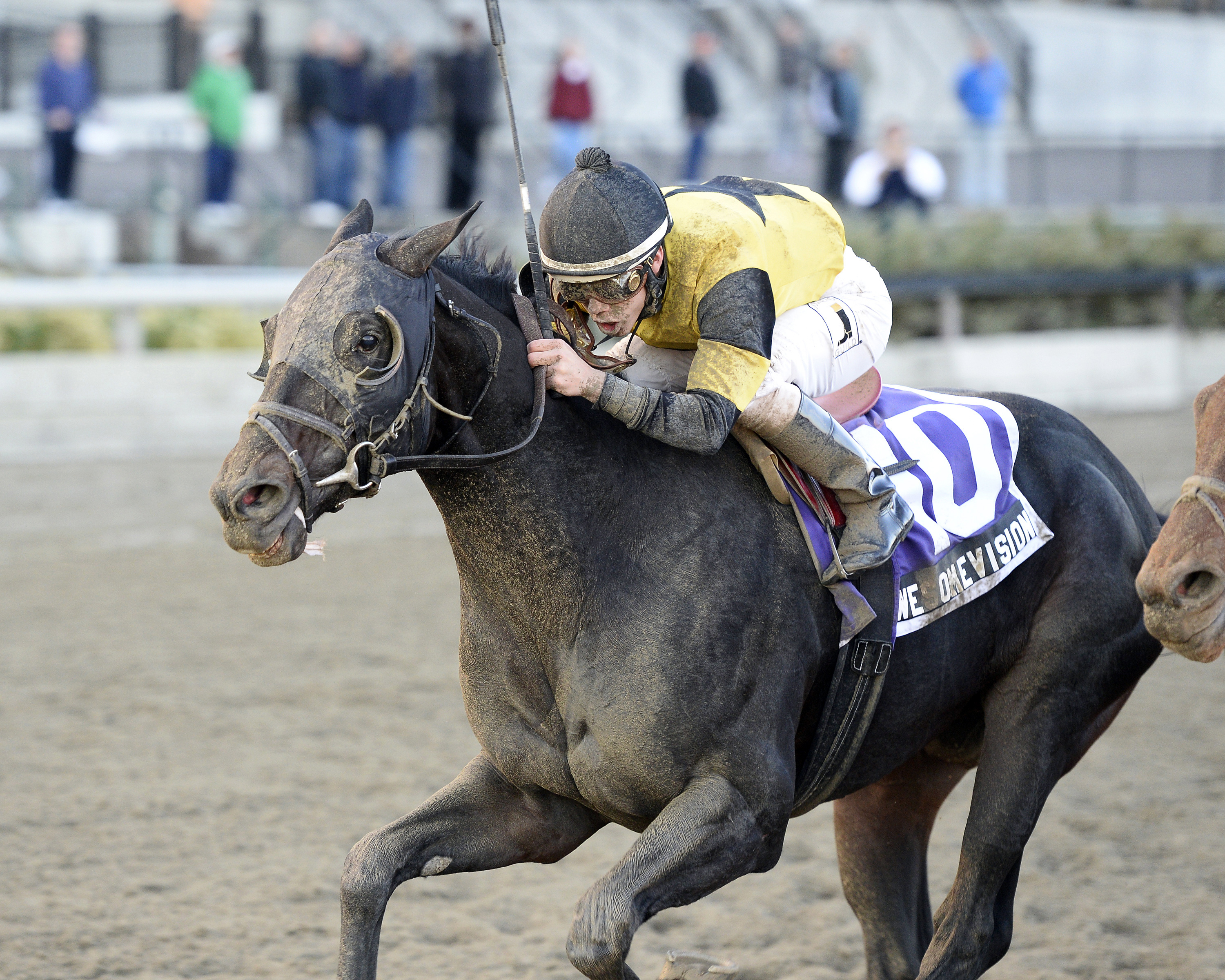 Awesome Vision wins the Move It Now Stakes