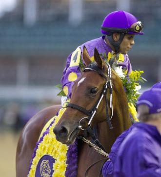 Uncle Mo, Awesome Feather top Experimental Free Handicap