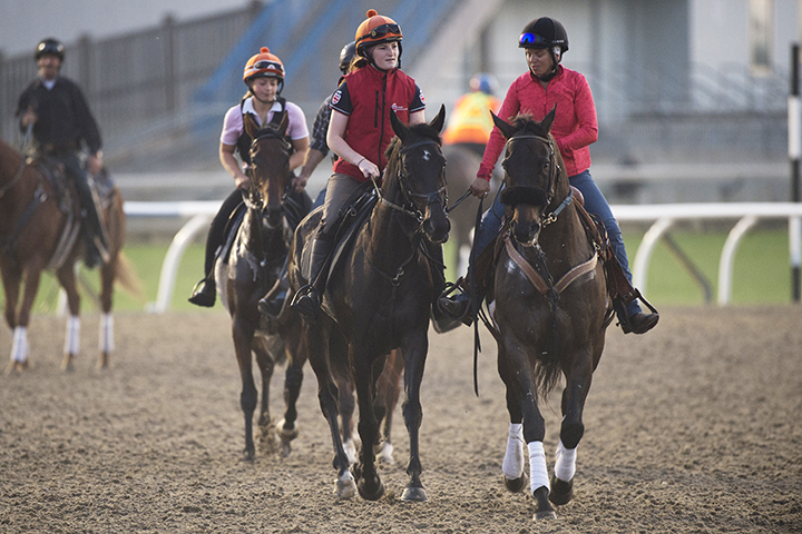 Awesometank at Woodbine Racecourse on Sept. 11