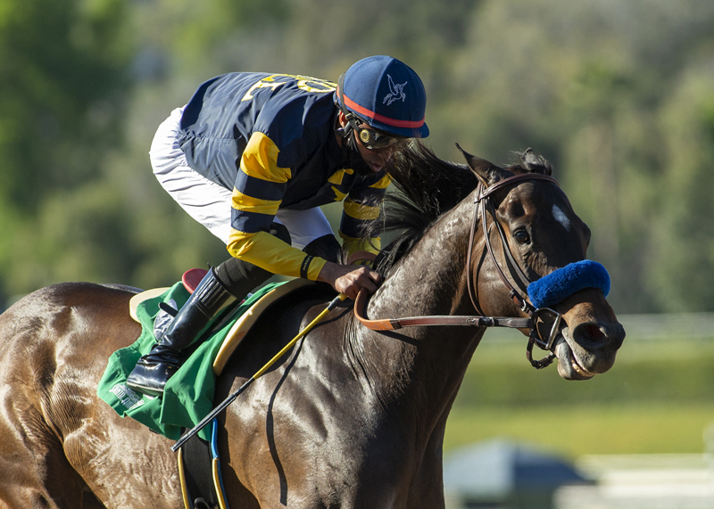 Ax Man wins Santana Mile 3-28-2021