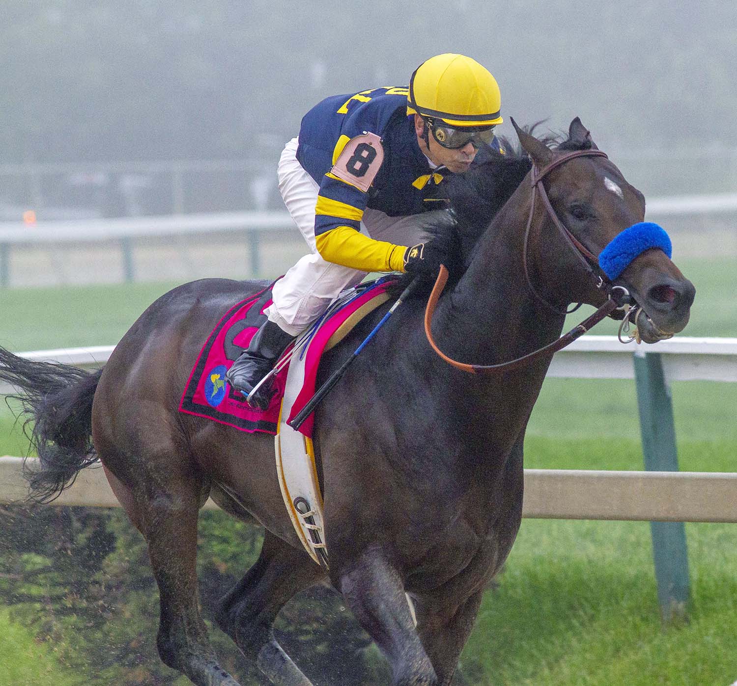 Ax Man wins the 2018 Sir Barton Stakes