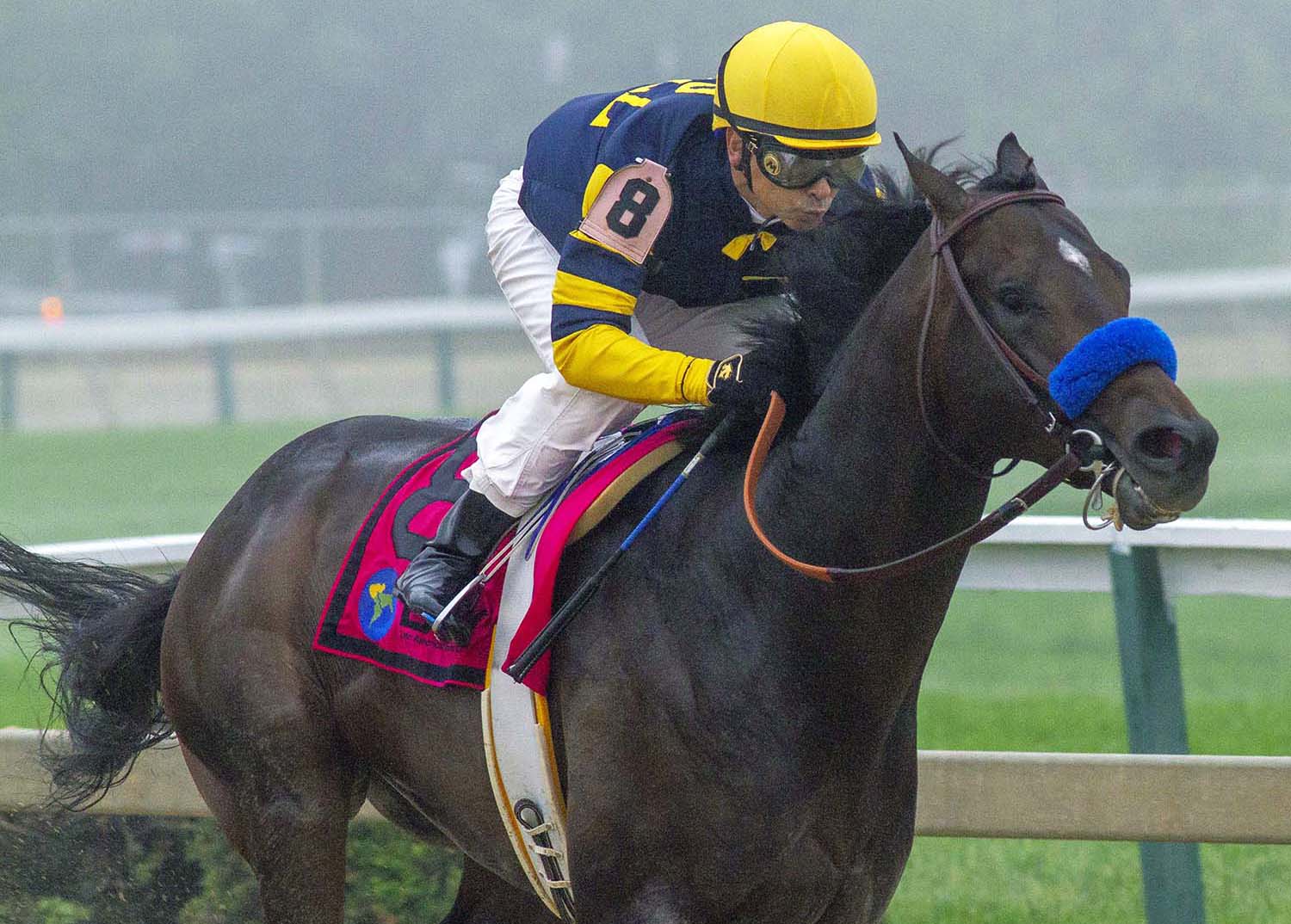 Ax Man wins the 2018 Sir Barton Stakes