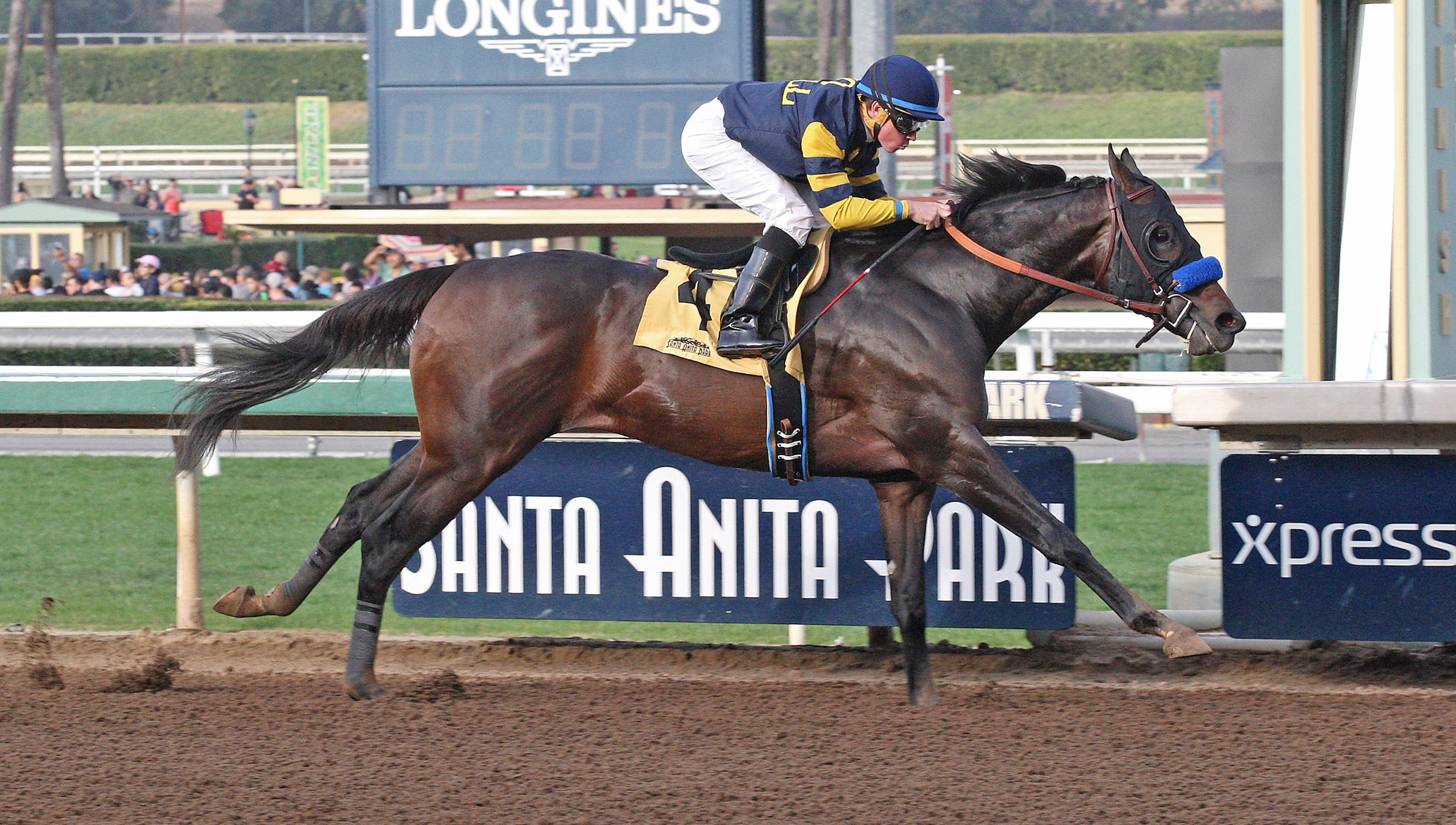 Ax Man wins a Jan. 1 maiden race