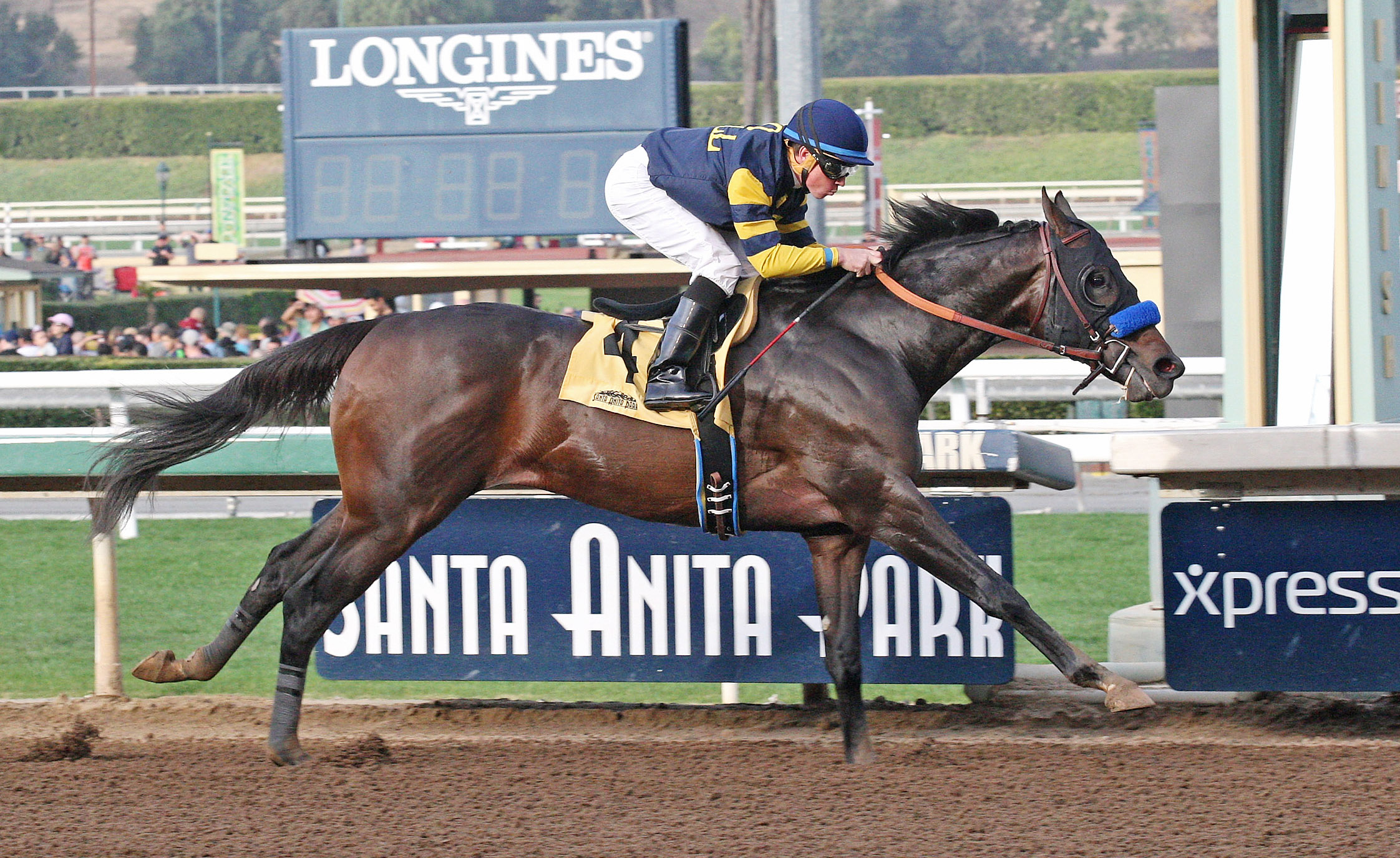 Ax Man wins a Jan. 1 maiden race
