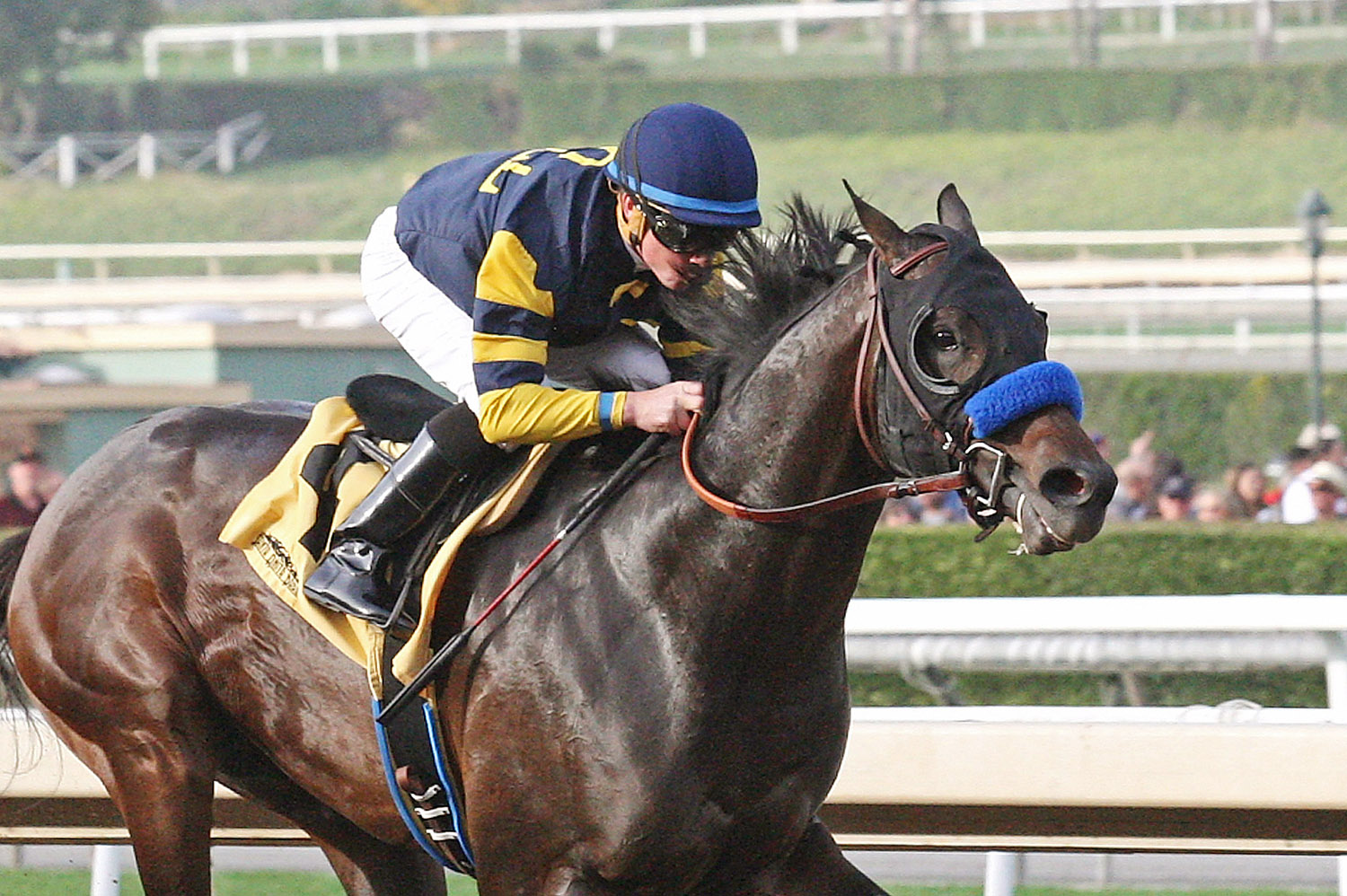 Ax Man wins a Jan. 1 maiden race