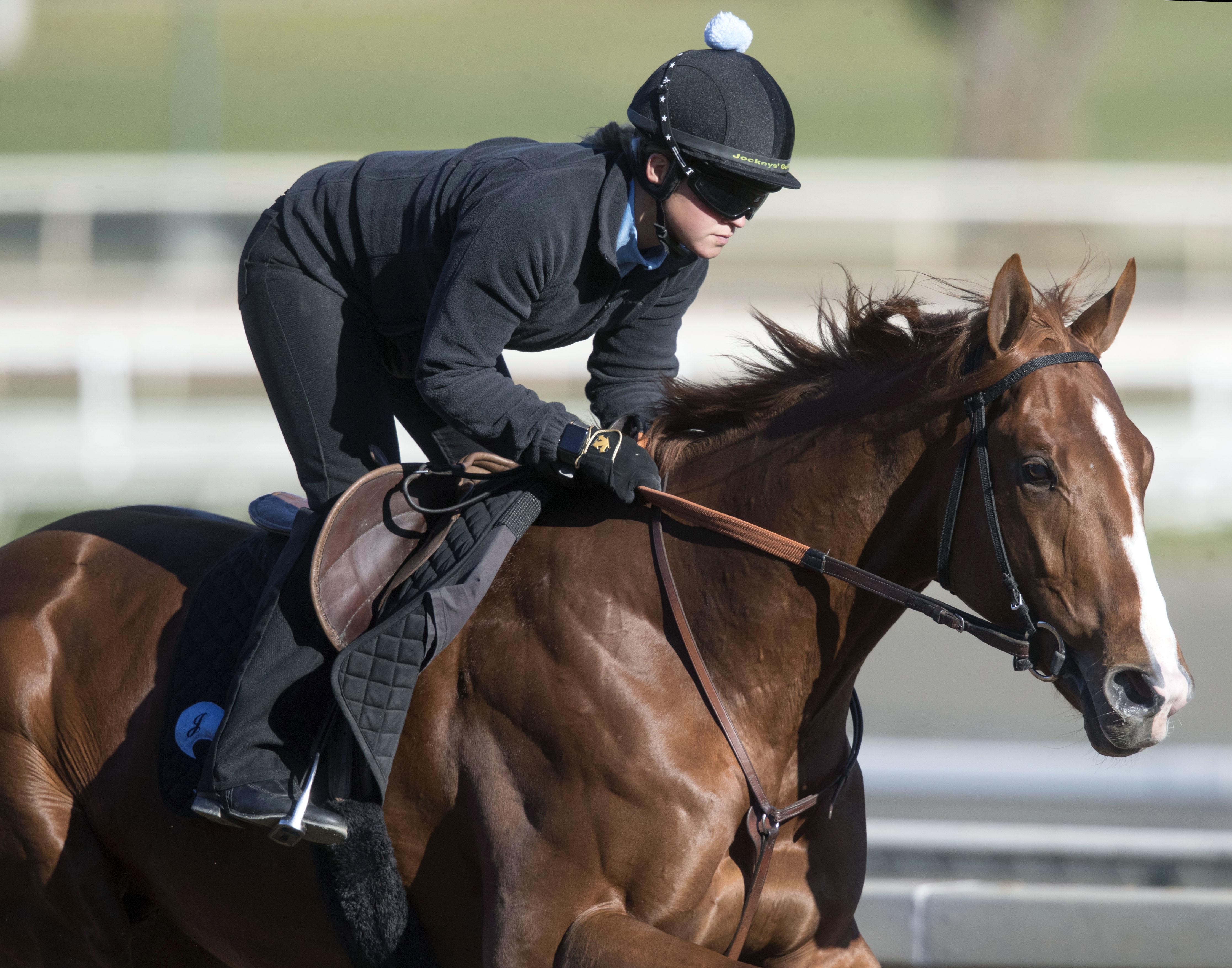 Ayacara trains at Santa Anita on Feb. 23