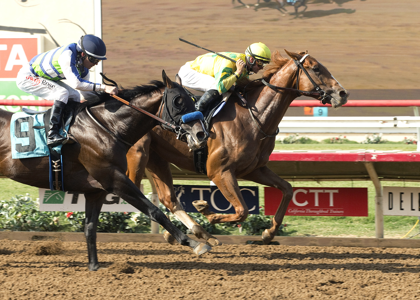 Ayacara wins an Aug. 25 maiden race