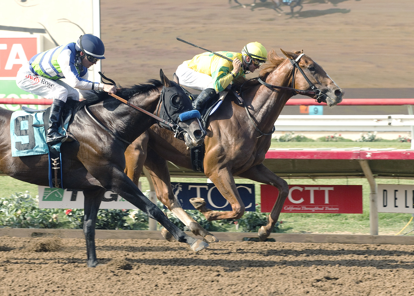 Ayacara wins an Aug. 25 maiden race