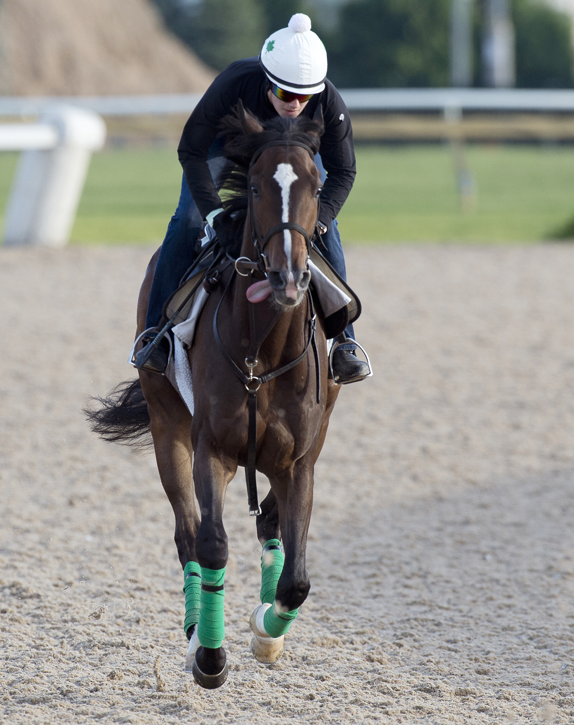 Aye Aye Captain trains at Woodbine on June 1
