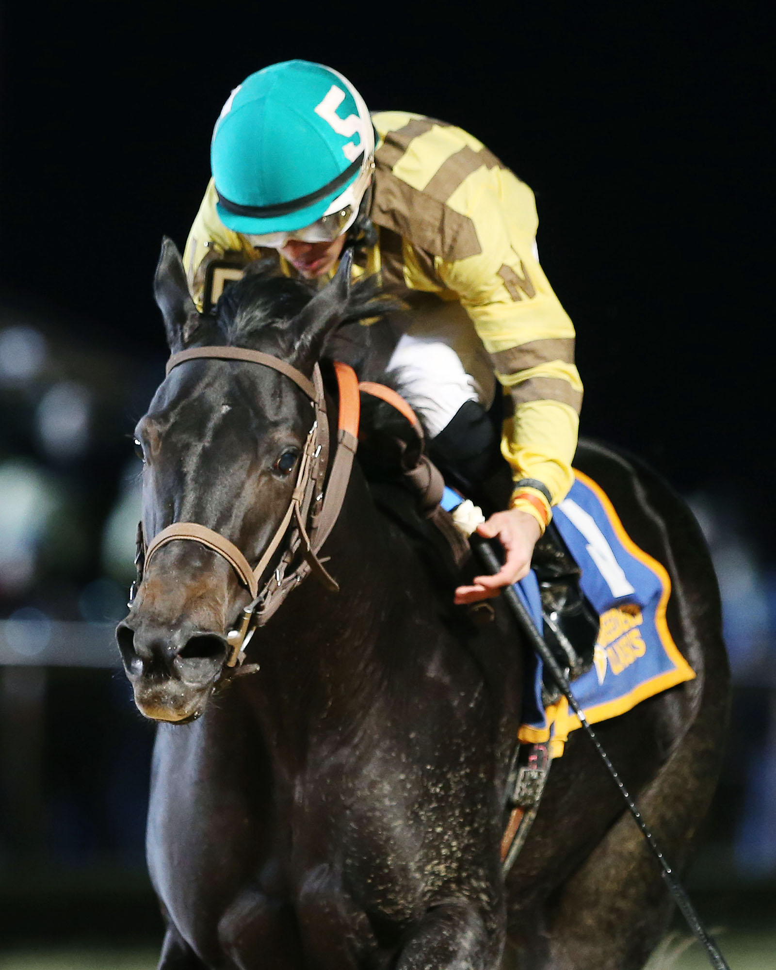 Aye a Song wins the West Virginia Triple Crown Nutritional Breeders Classic