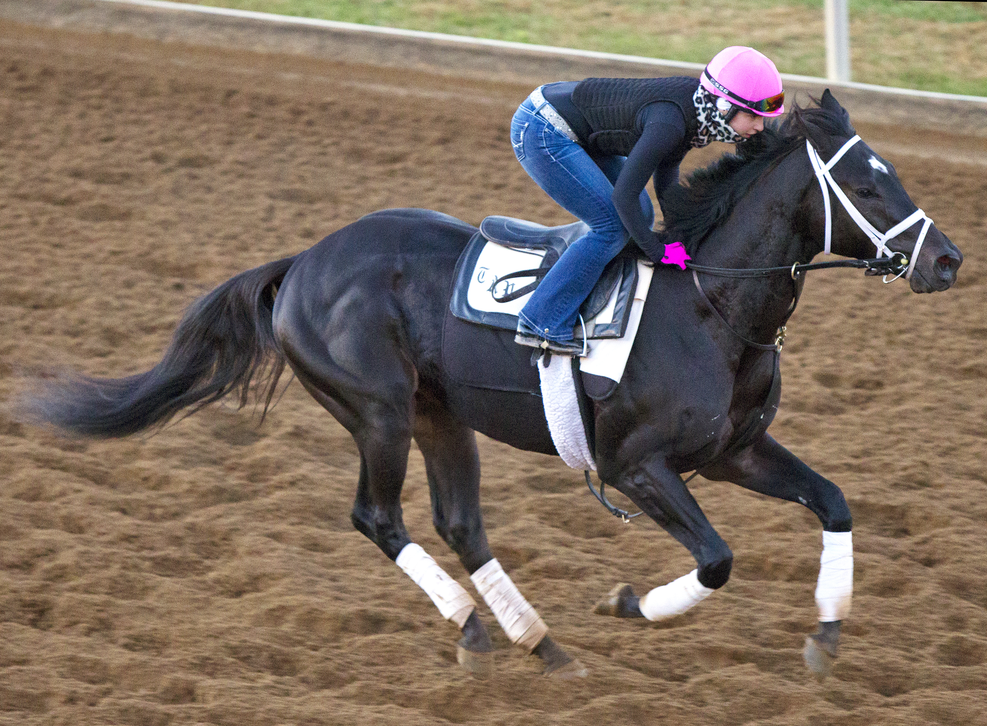 Azar trains at Keeneland on Oct. 21