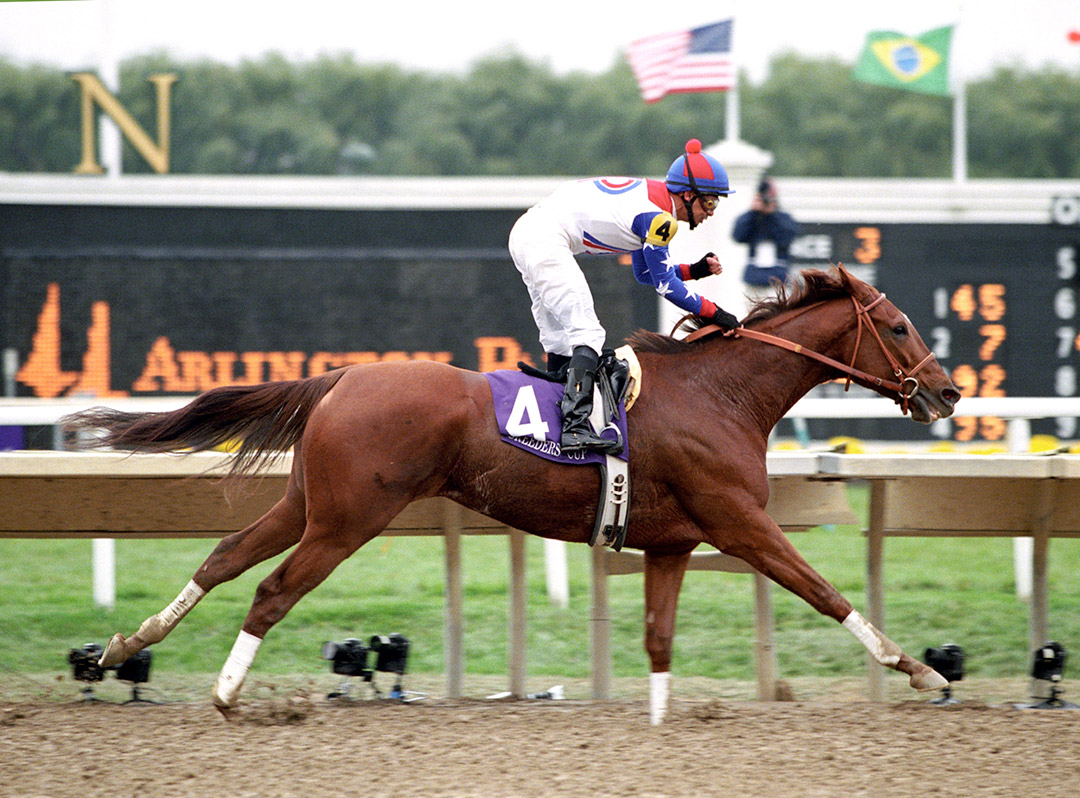 Azeri wins the 2002 Breeders' Cup Distaff at Arlington Park