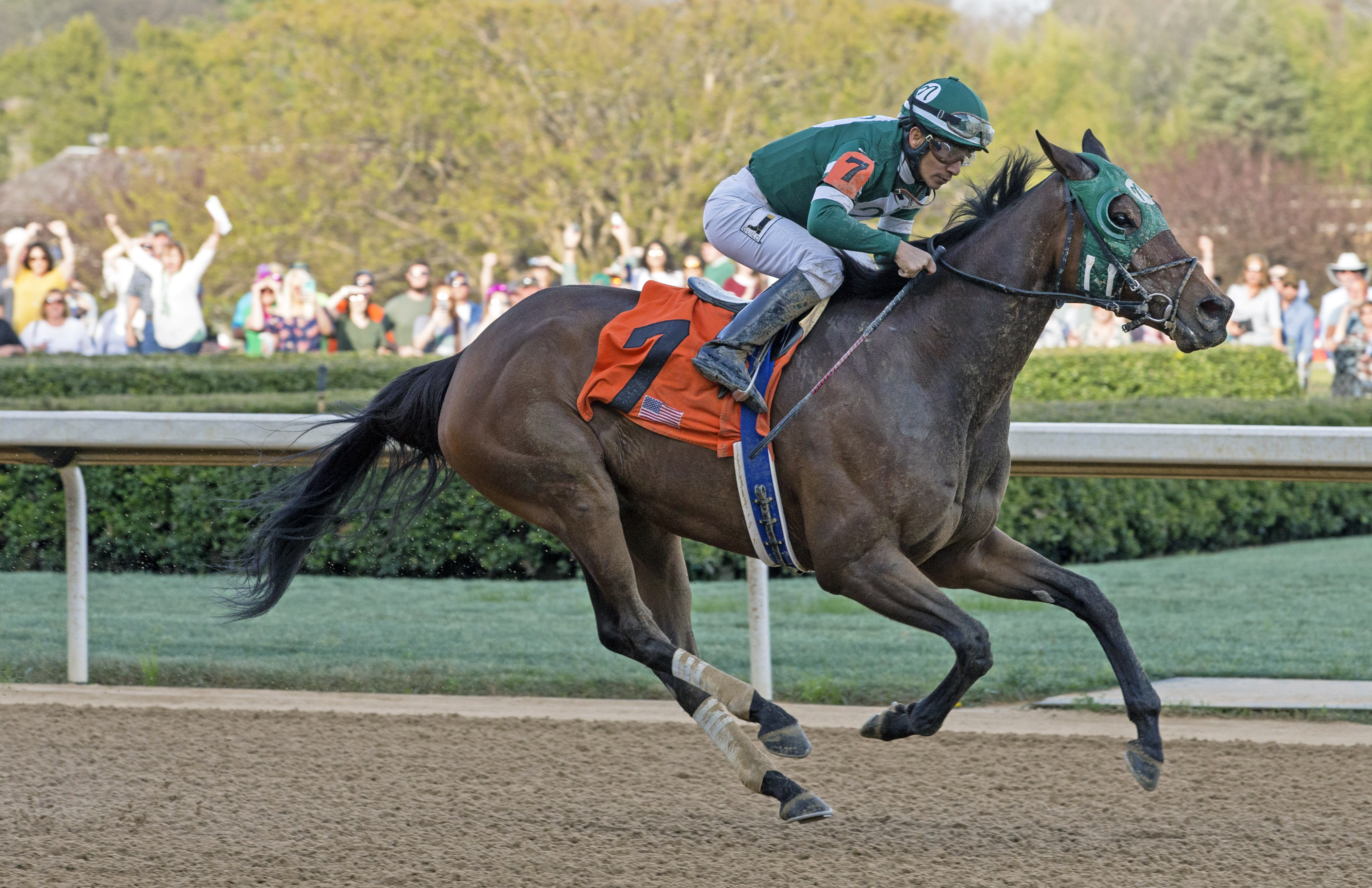 Martini Glass wins 2018 Azeri