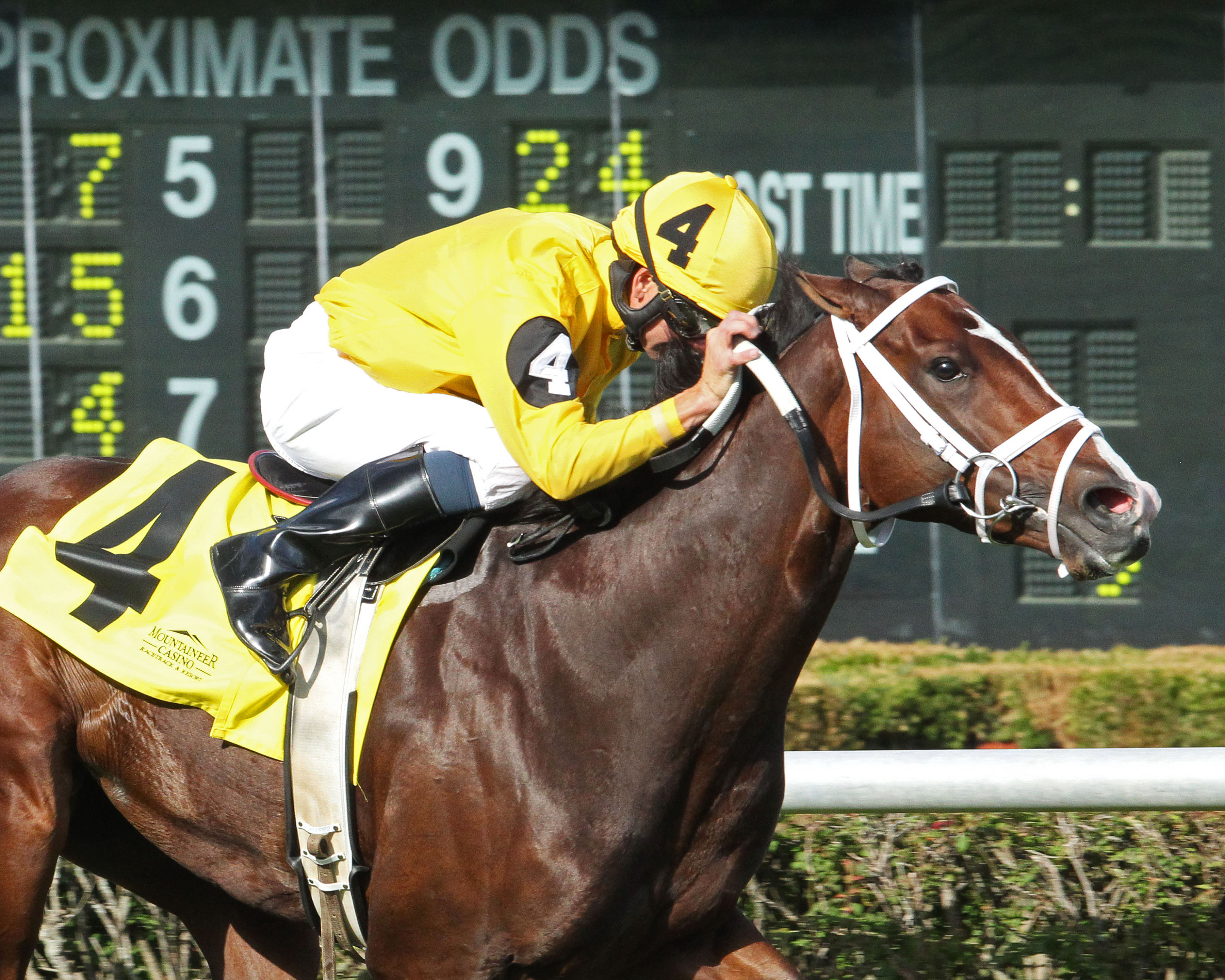 Aztec Brave wins the West Virginia House of Delegates Speaker's Cup