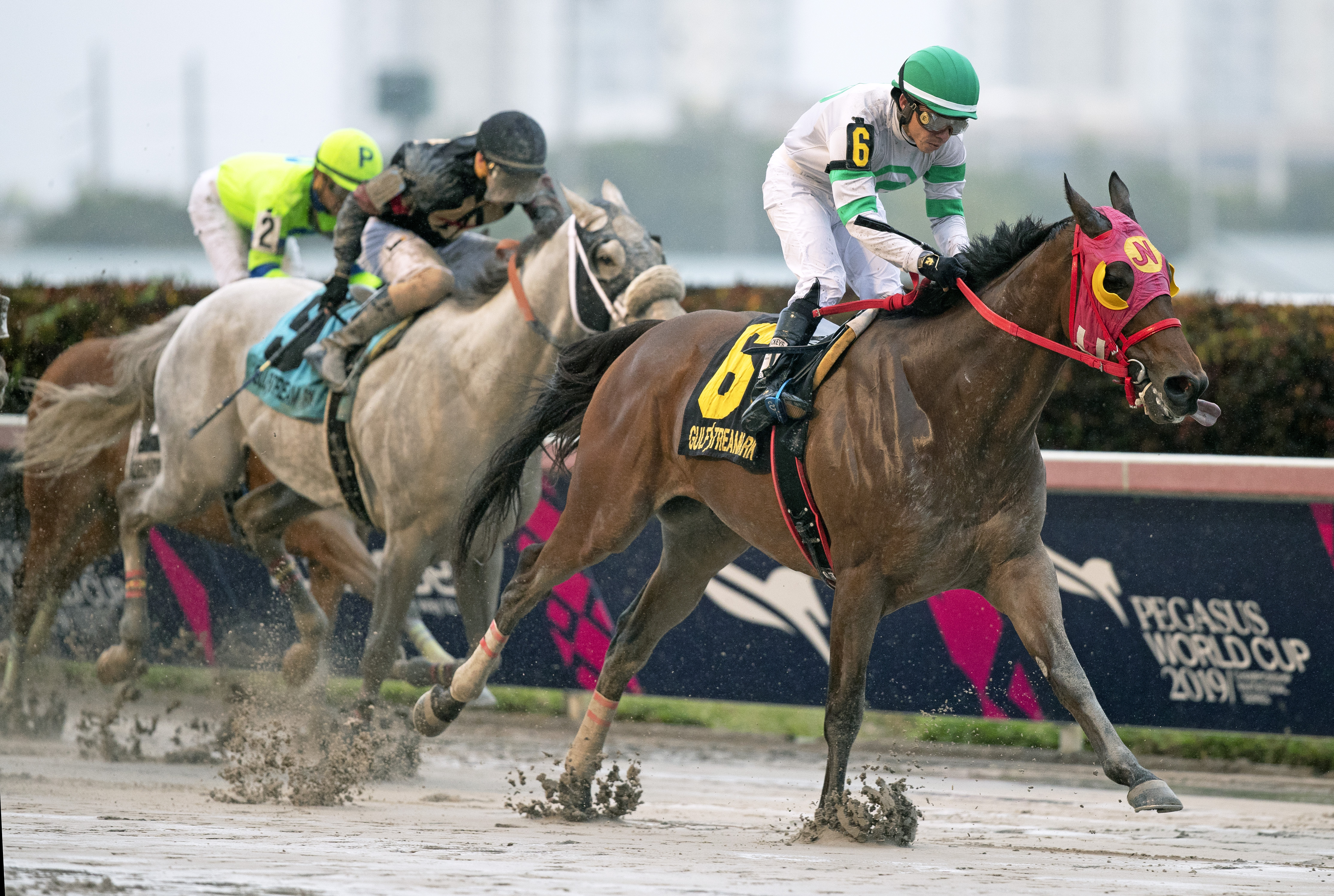 Aztec Sense wins 2019 Fred W. Hooper