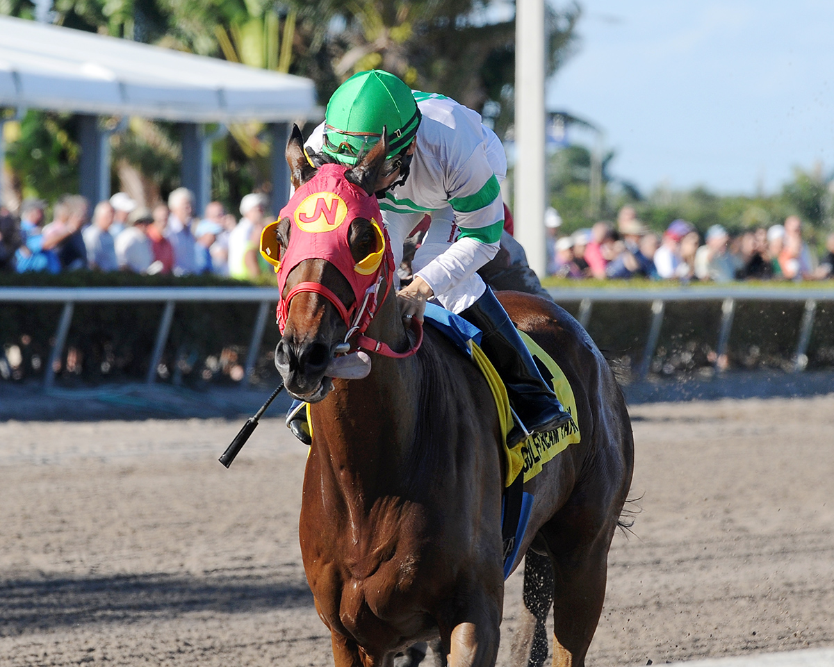 Aztec Sense wins the Rough and Ready Stakes
