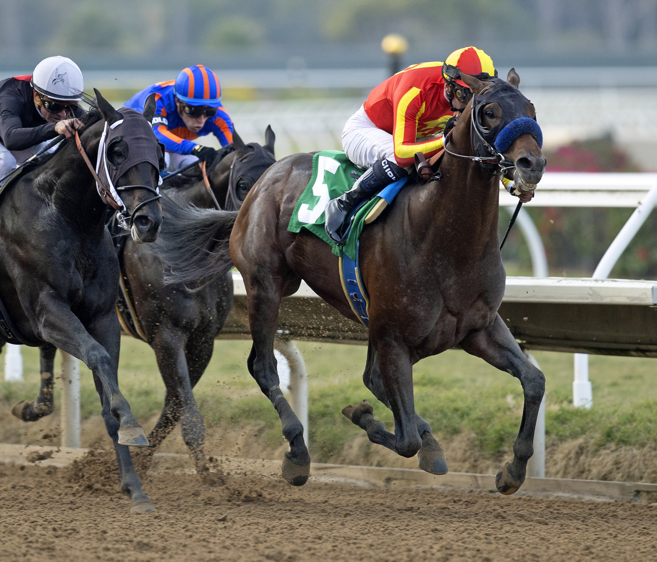 Azul Coast wins Native Dancer 11-20-2021