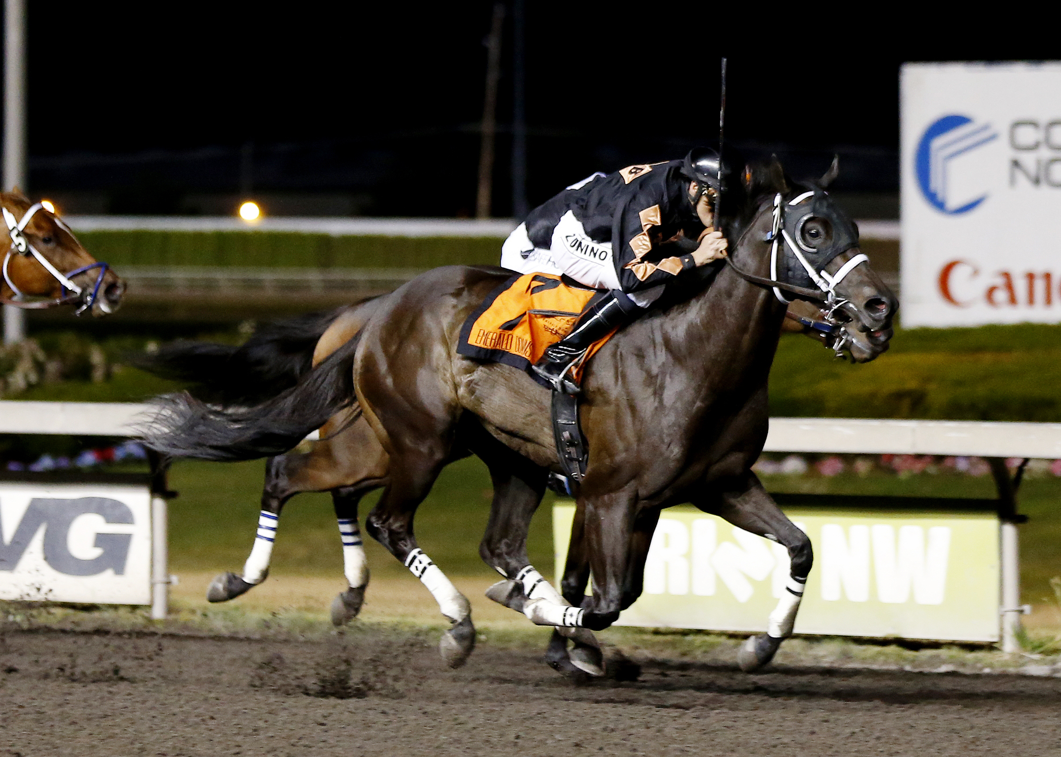 B C Z Middleton wins the Washington Legislature Stakes