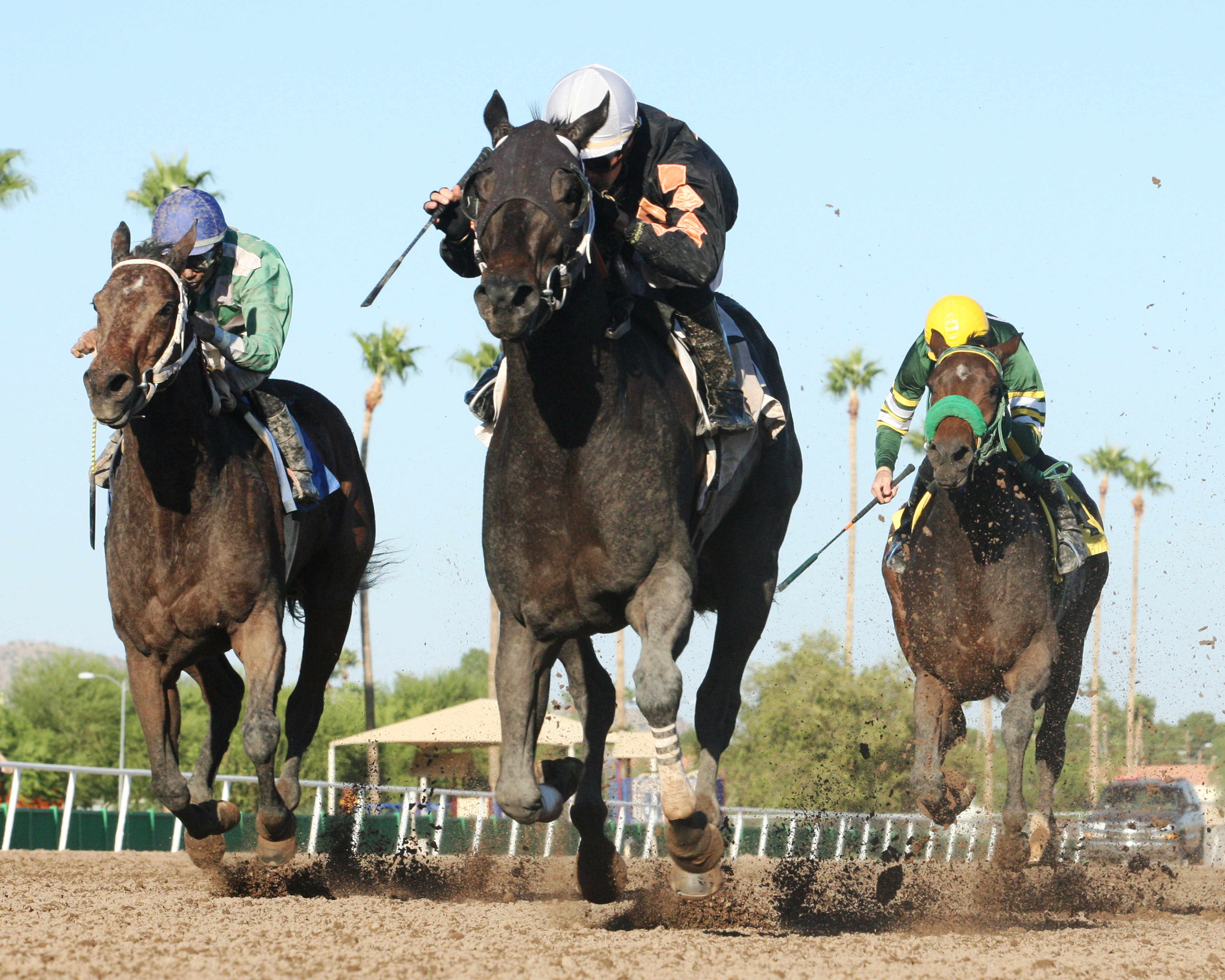 B C Z Middleton wins the 2016 Princess of Palms