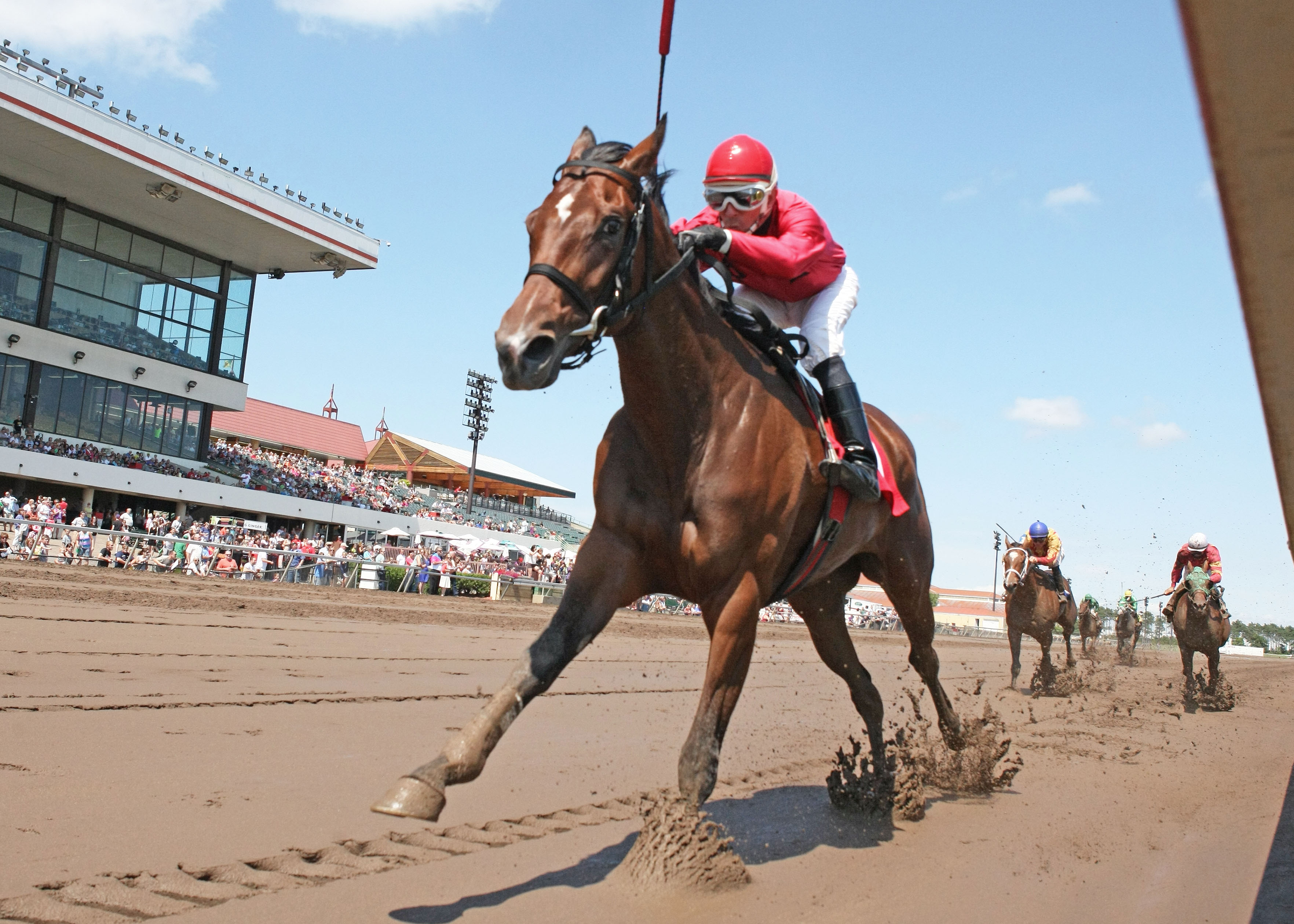 Canterbury Park: B J's Angel, Bet Your Life win MTA stakes