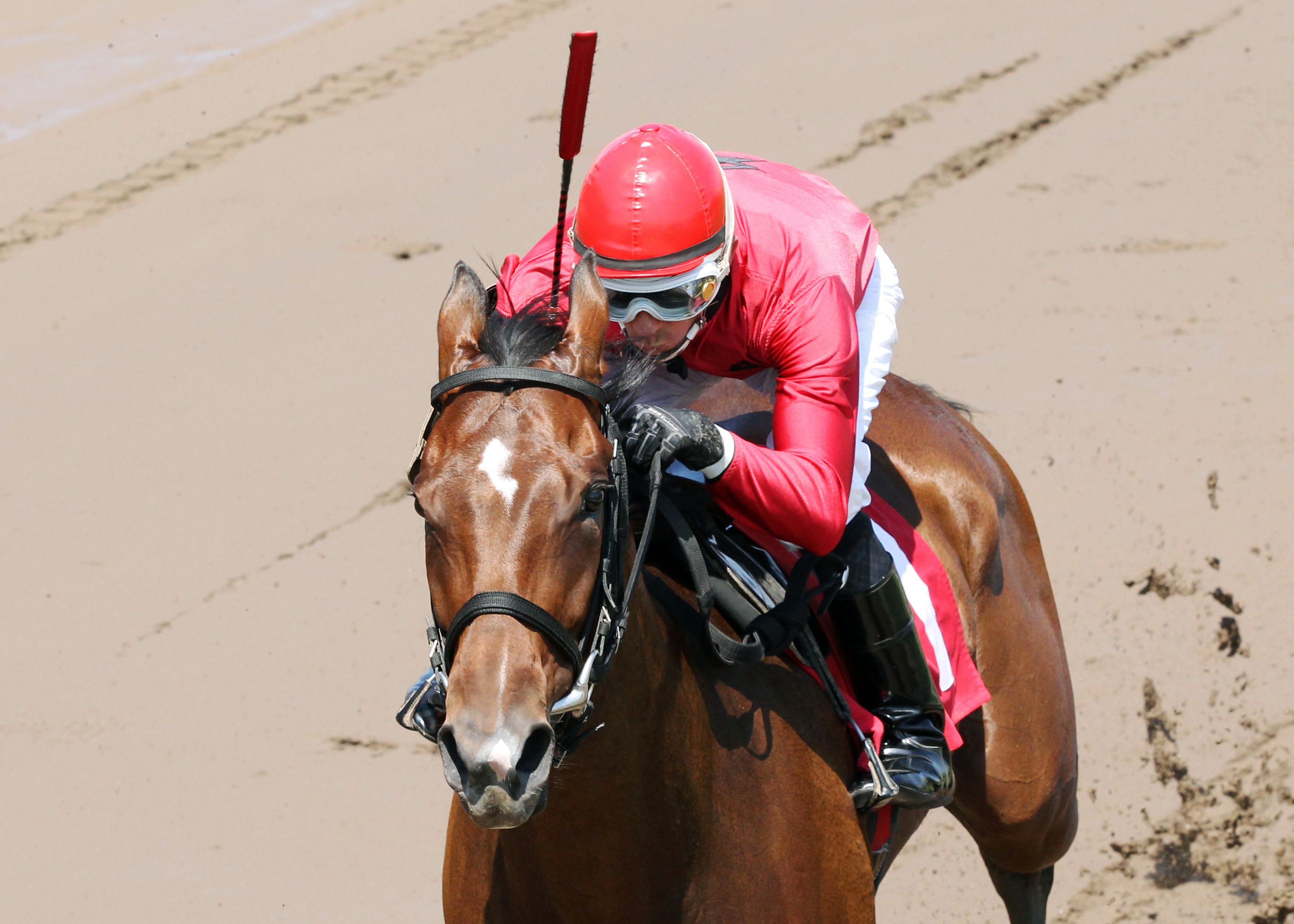 B J's Angel wins the MTA Stallion Auction Lassie Stakes