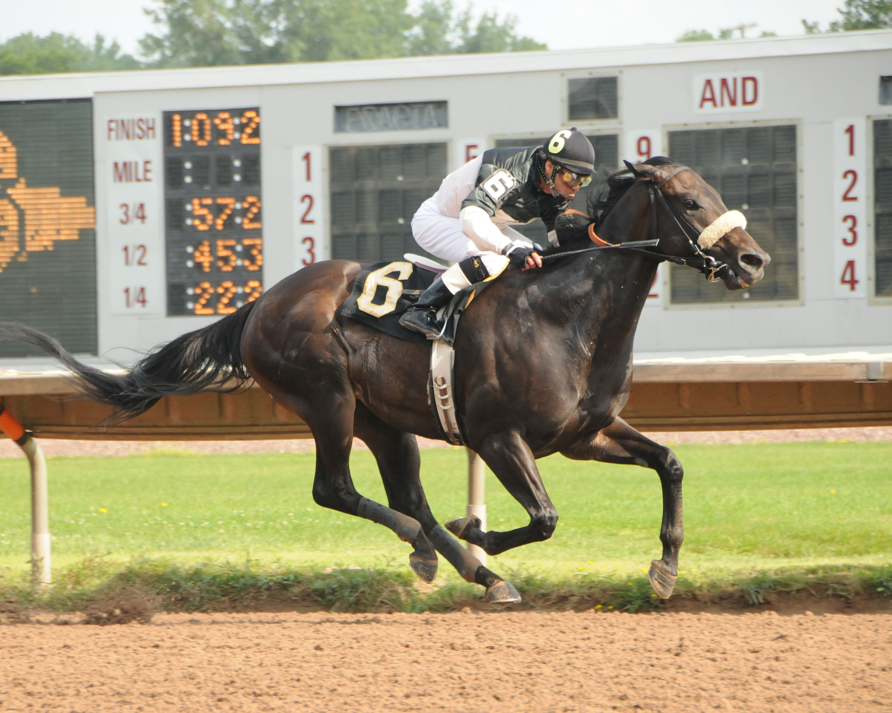 B Shanny 8-17-2013