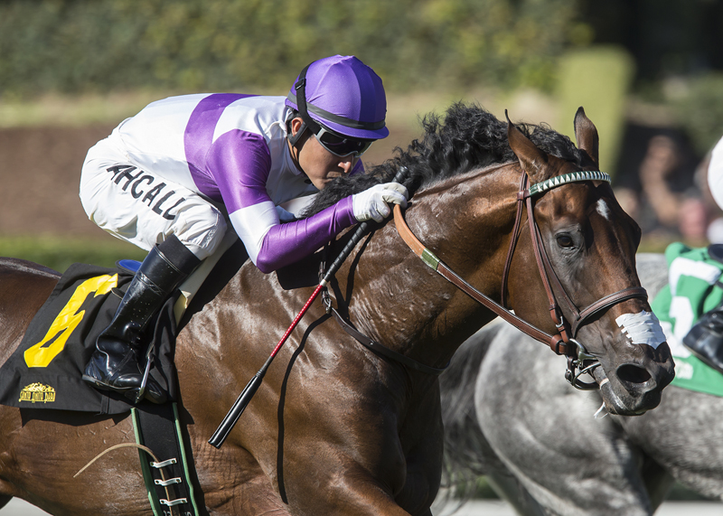 B Squared wins California Flag