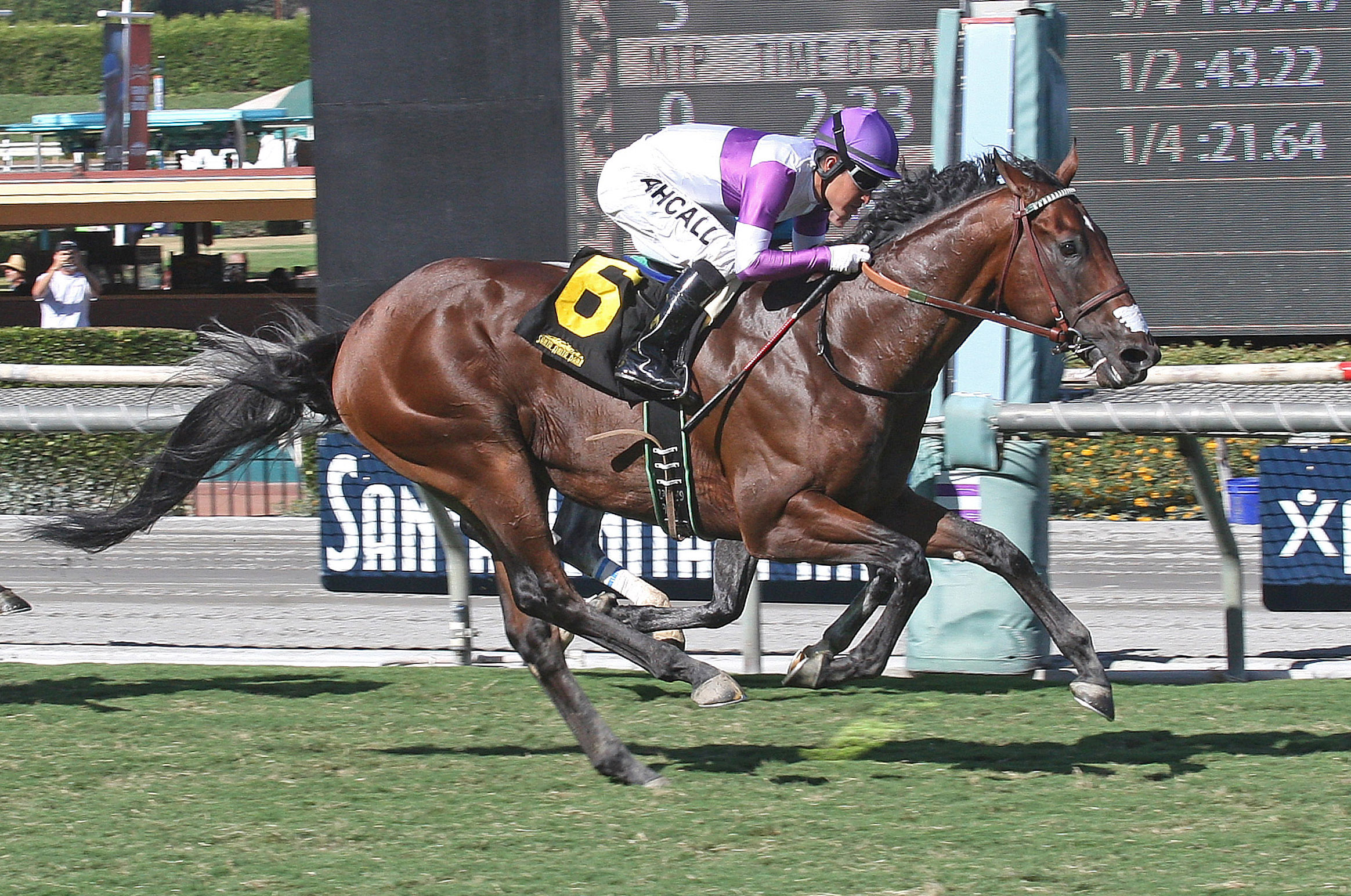 B Squared wins the 2017 California Flag Handicap
