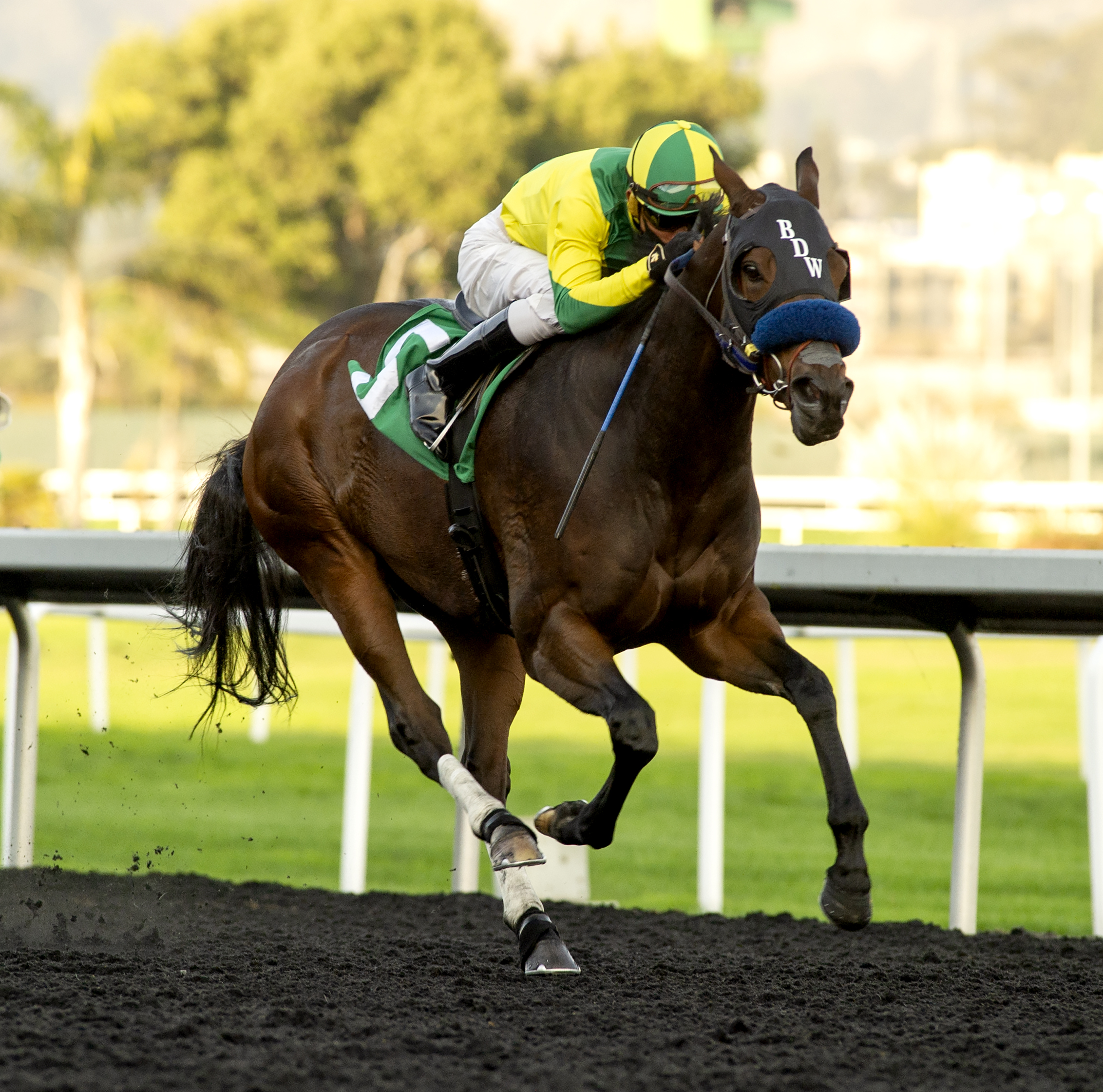 Baja Sur wins El Dorado Shooter 11-01-2020