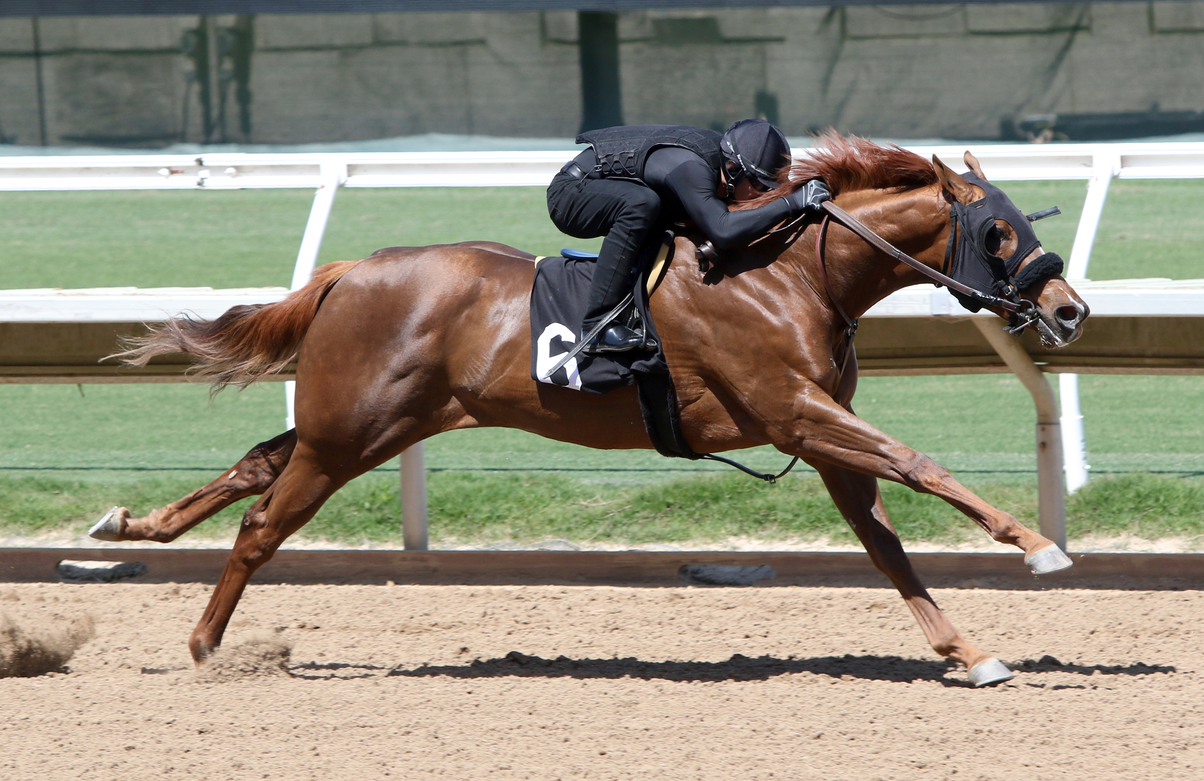 Hip 6 Californiabyanose posted the fastest furlong on March 27
