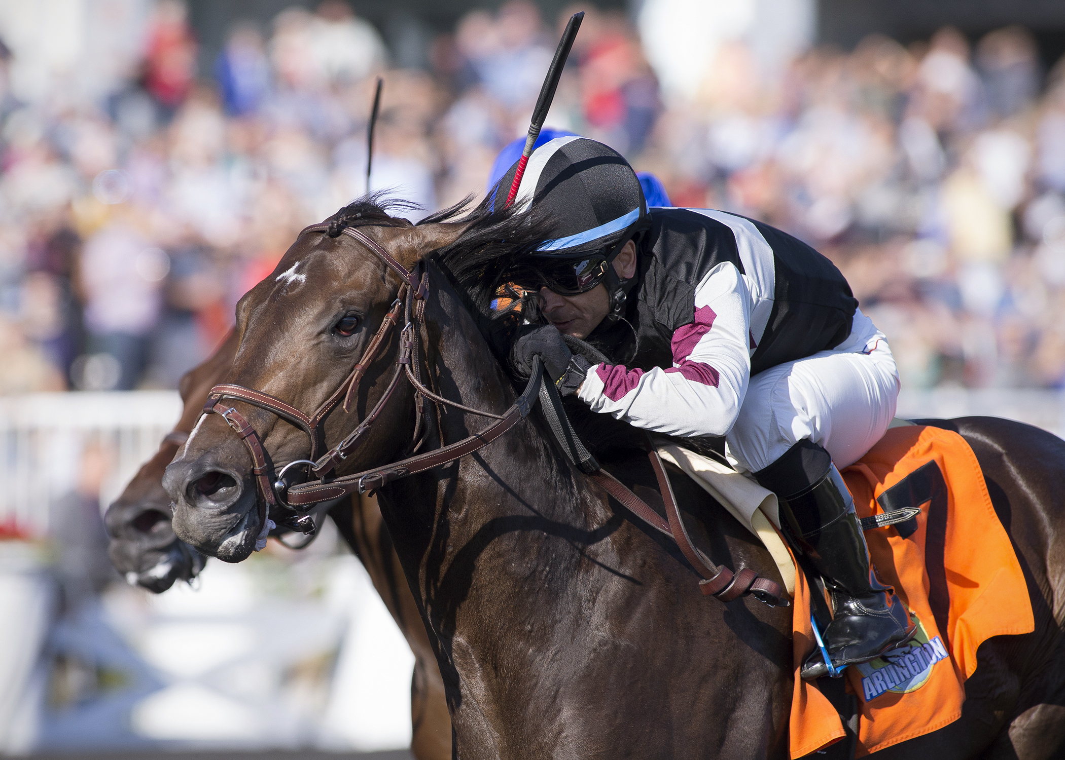 Barry Lee wins the 2017 Arlington-Washington Futurity