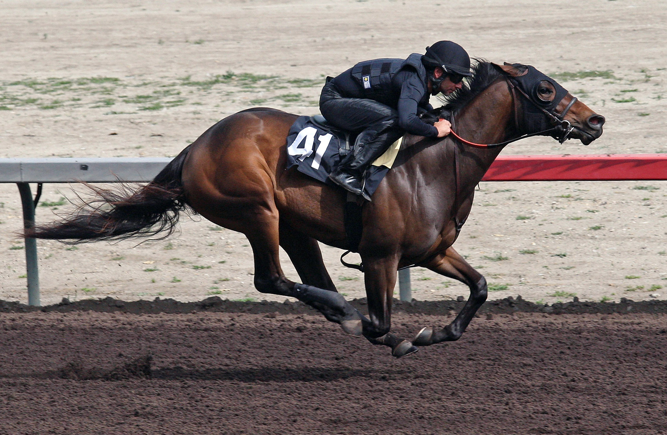 Hip 41 fastest worker Barretts February sale
