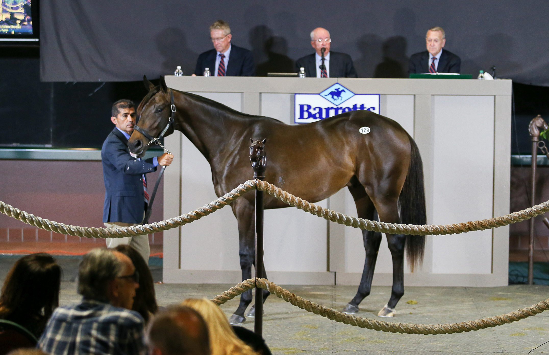 Hip 109 was the top seller at Barretts select sale of 2-year-olds in training at Del Mar
