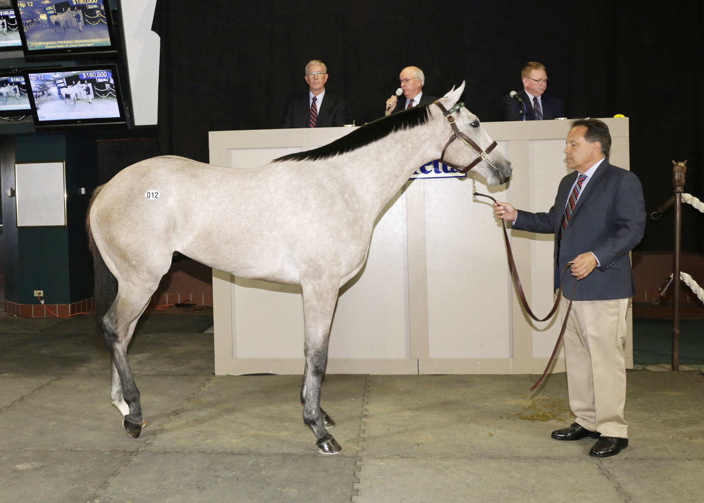 Hip 12 Barretts sale topper