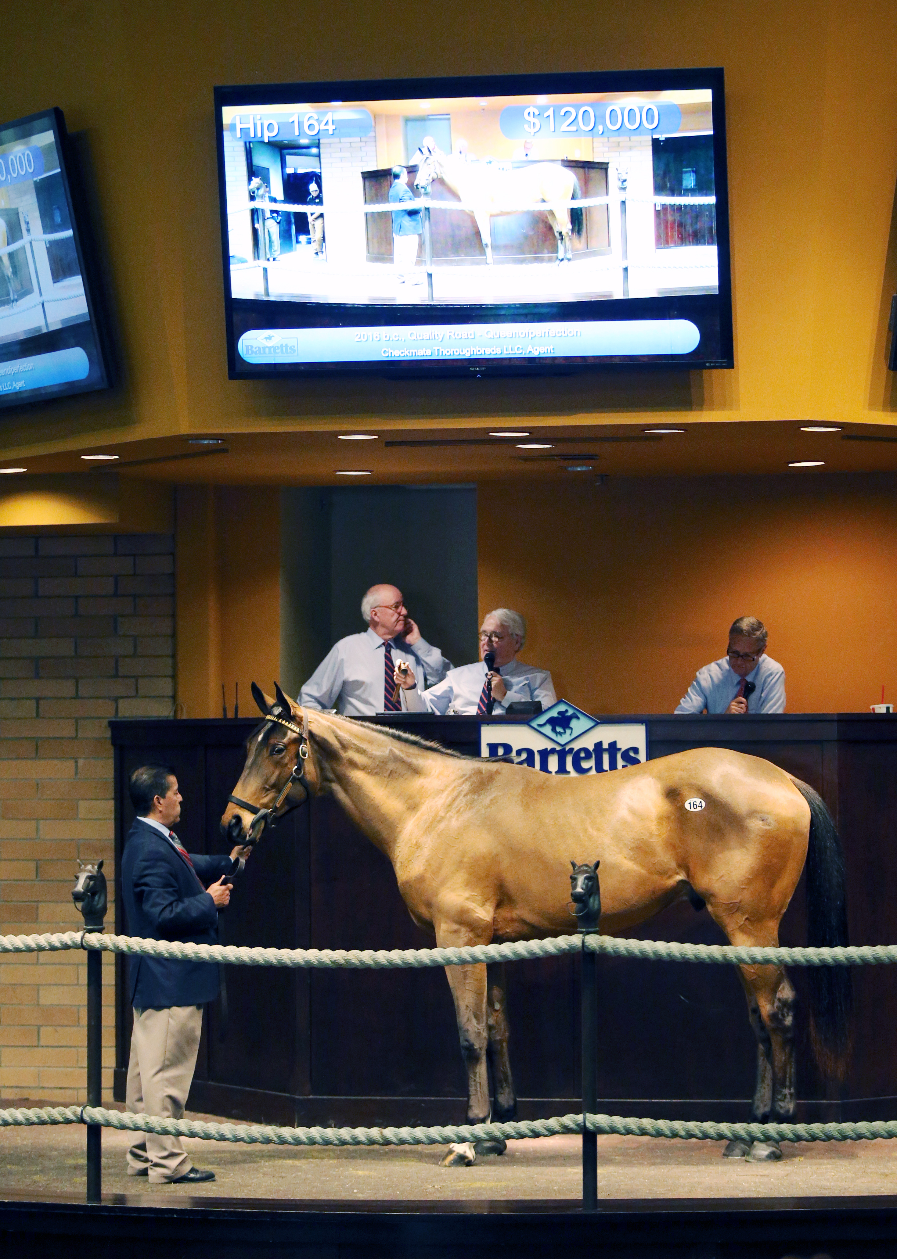 Barretts January Mixed Sale Hip 164