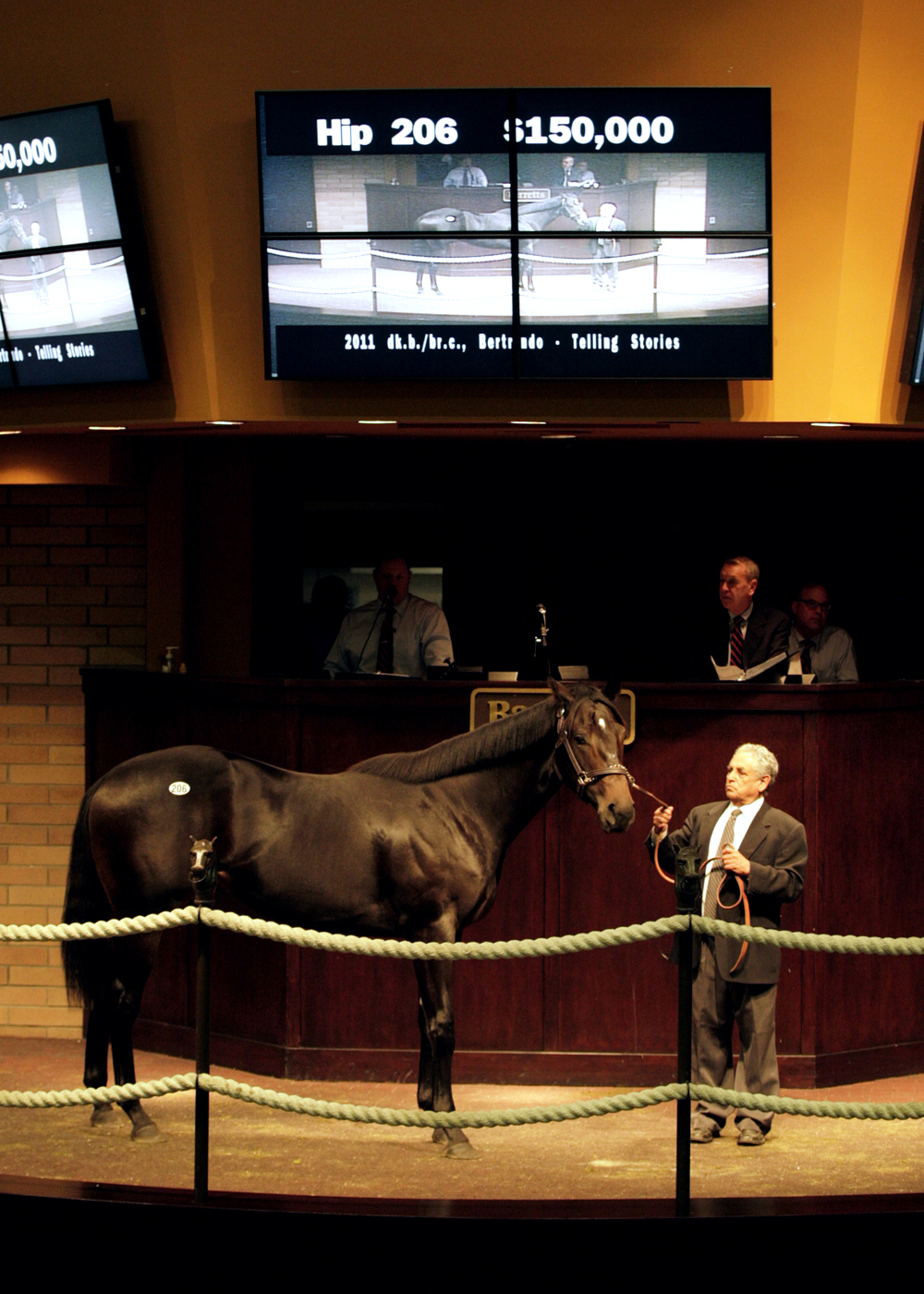 Barretts October yearling auction sales topper