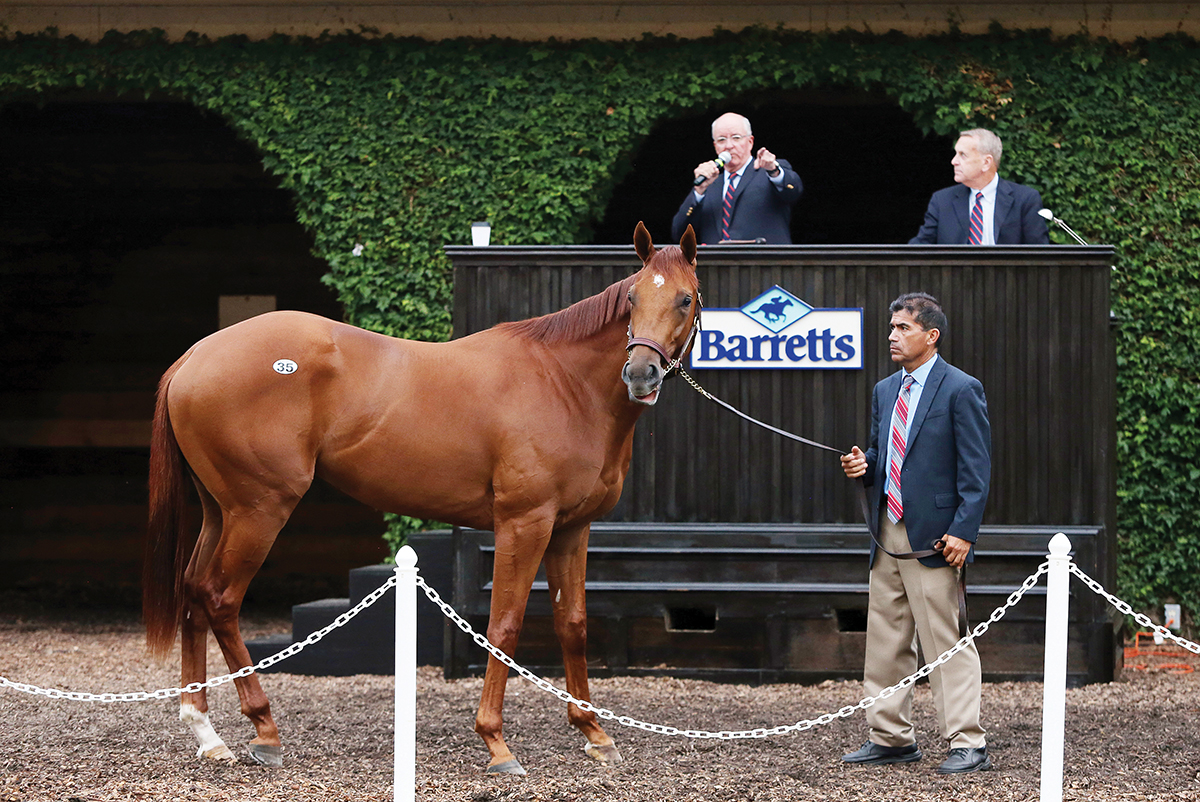 Barretts summer sale at Del Mar