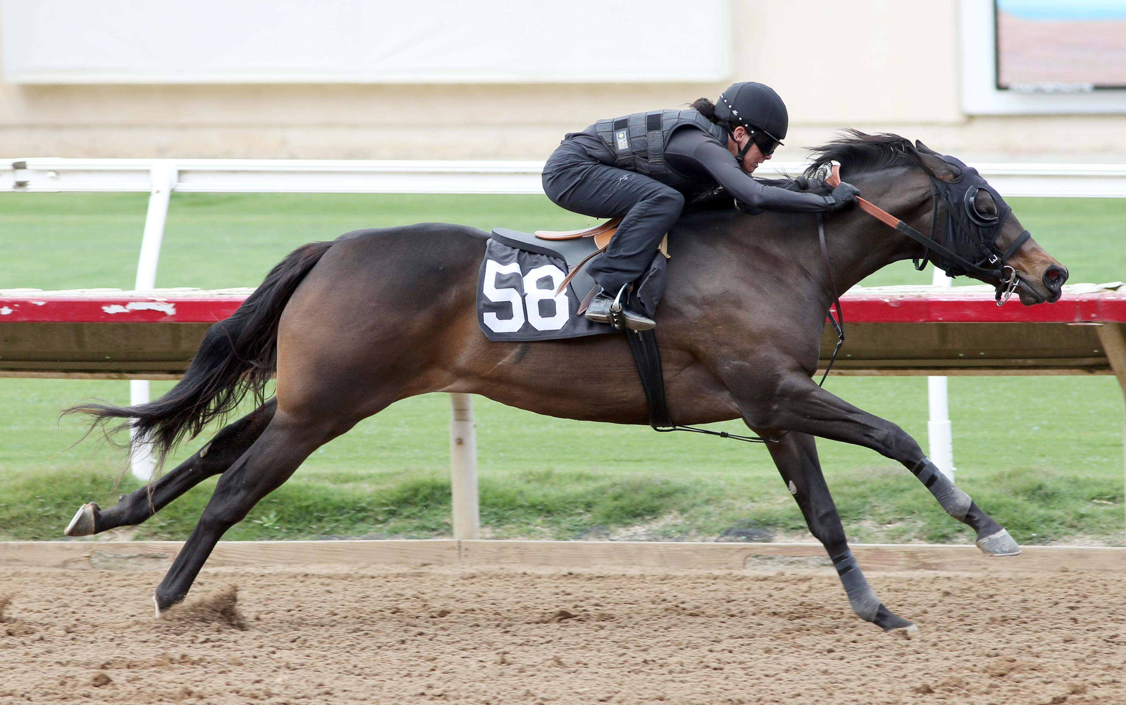 Hip 58, a Mineshaft filly, breezes for the Barretts spring 2-year-olds in training sale