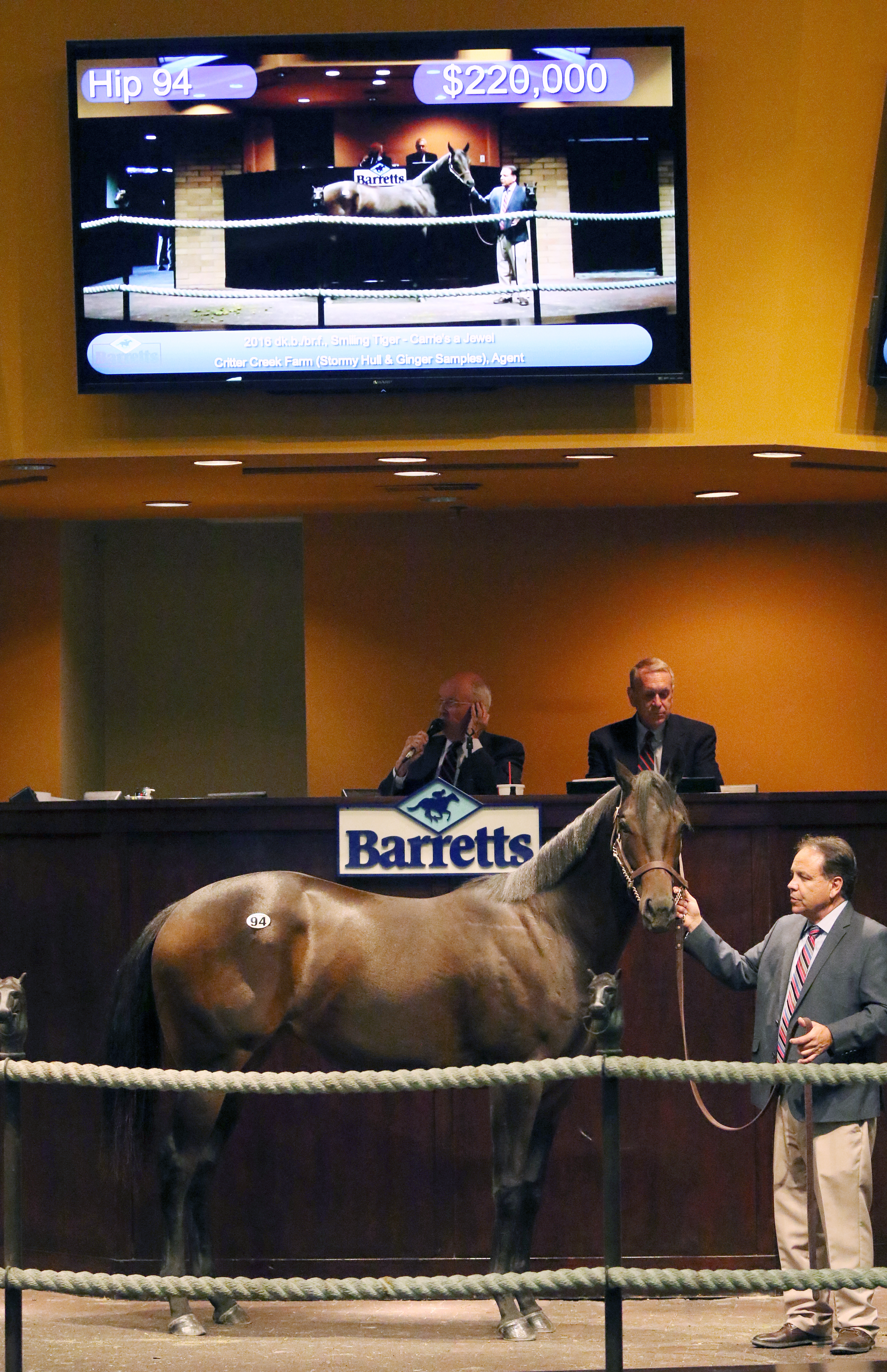 Smiling Tiger filly sells for $220,000 at the Barretts October sale