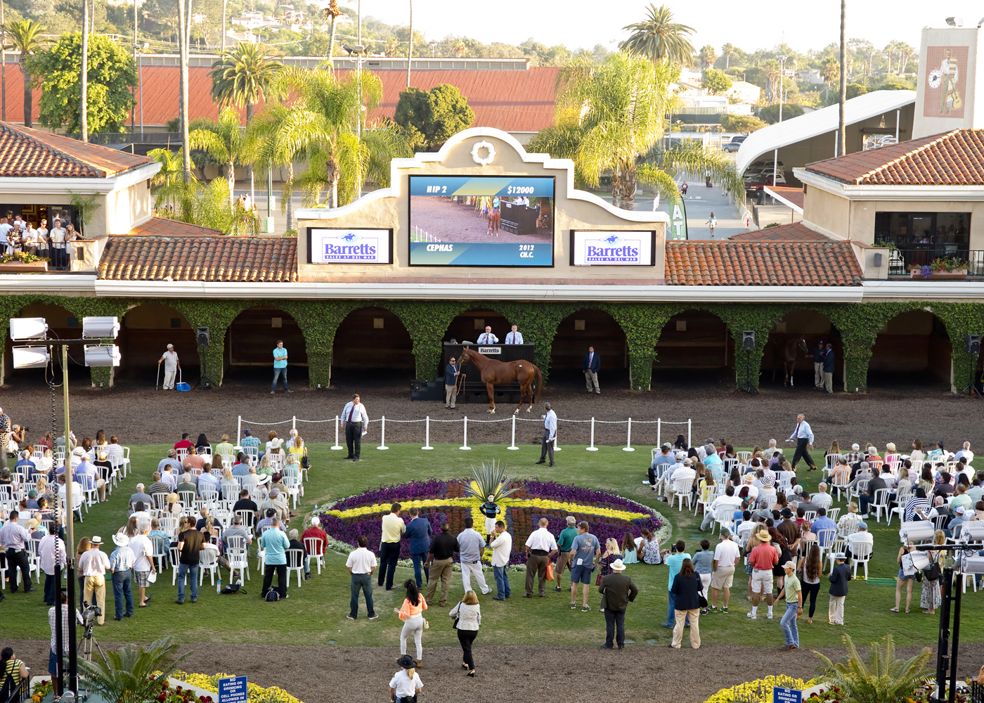 Barretts Del Mar paddock sale