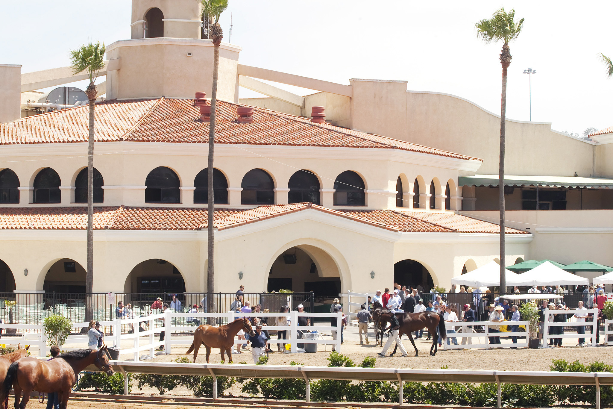 Site of the walking ring for a Barretts sale at Del Mar