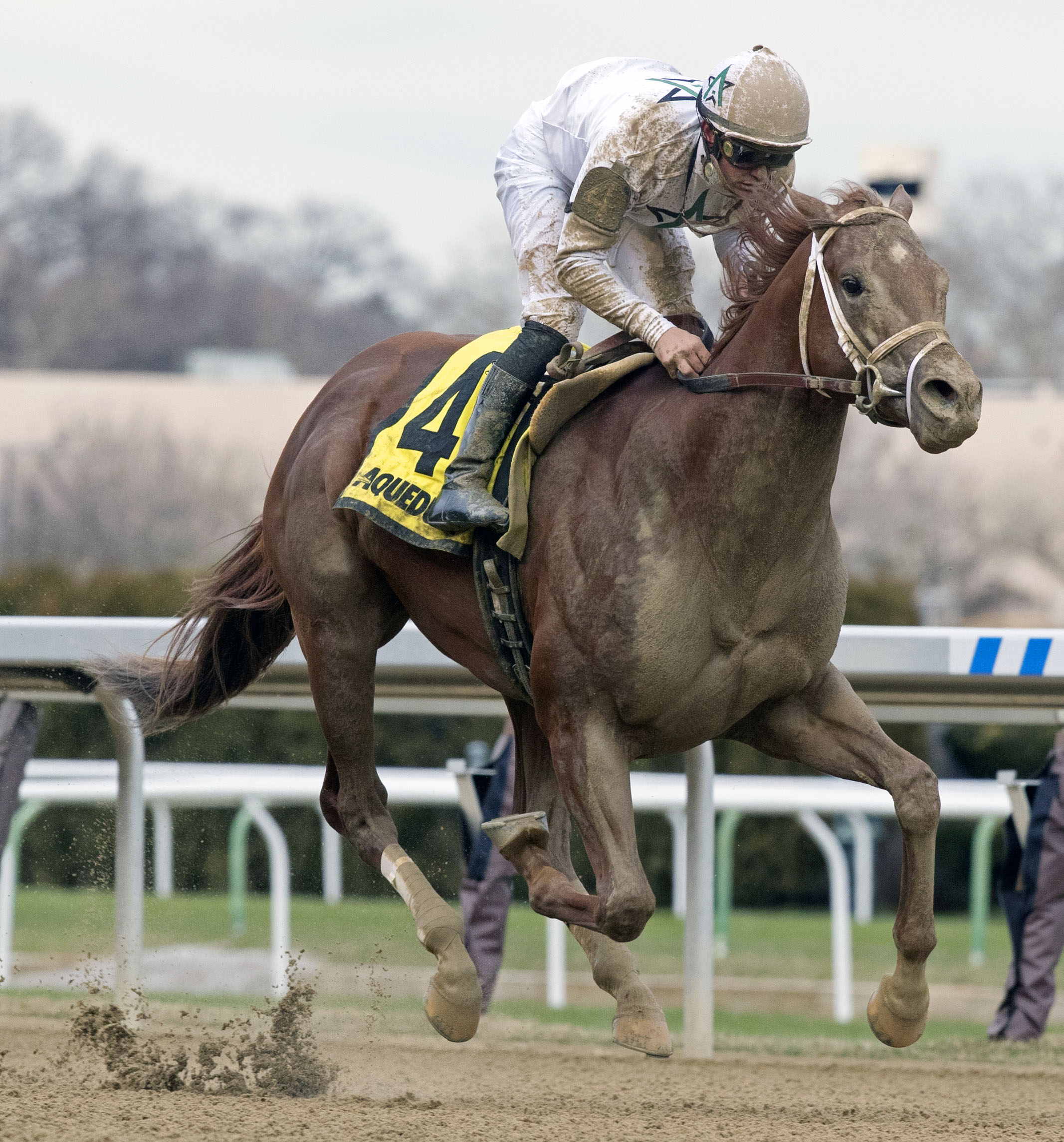 National Flag wins 2018 Bay Shore