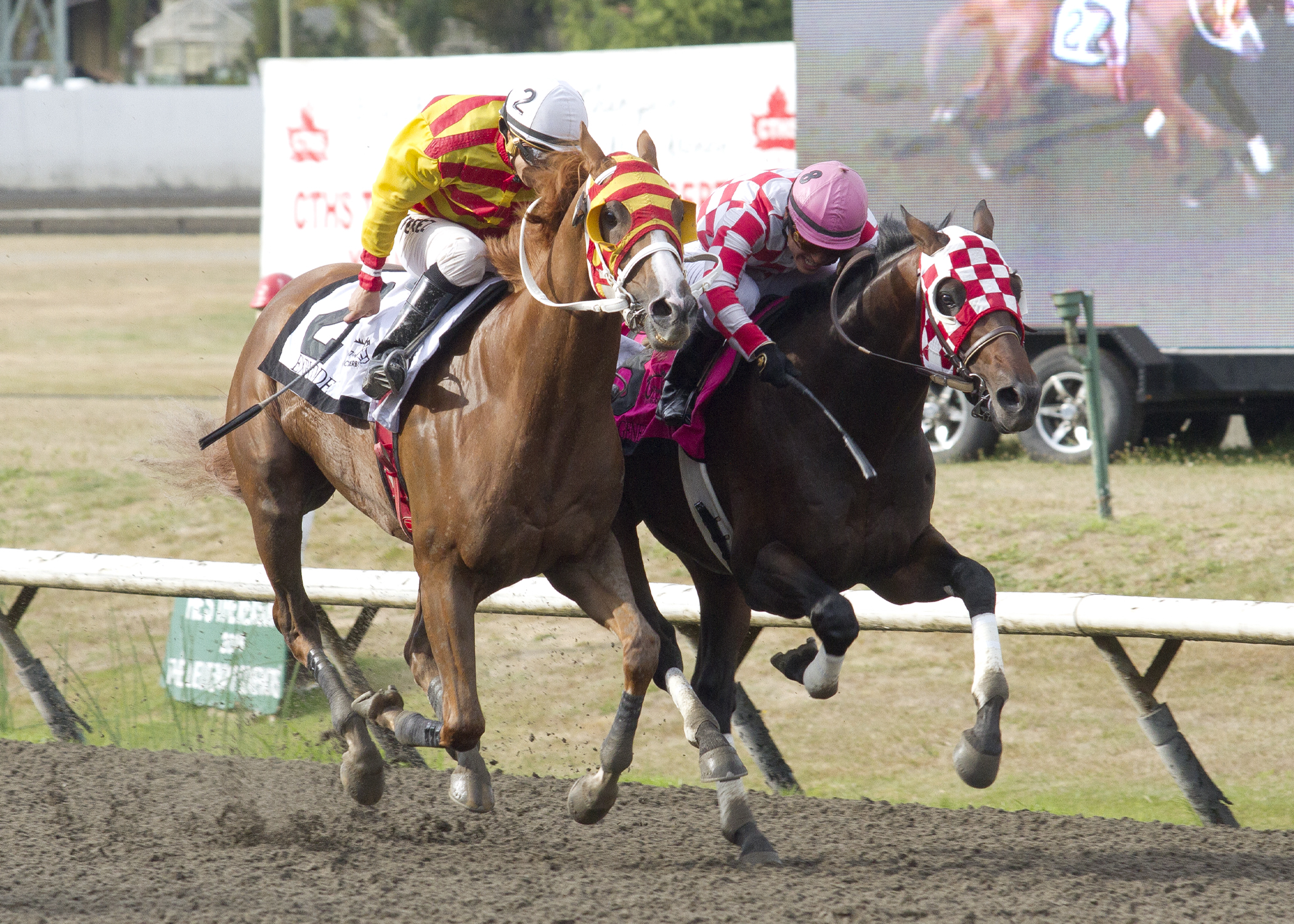 Five Star General (right) duels with Explode in the 2019 BC Derby