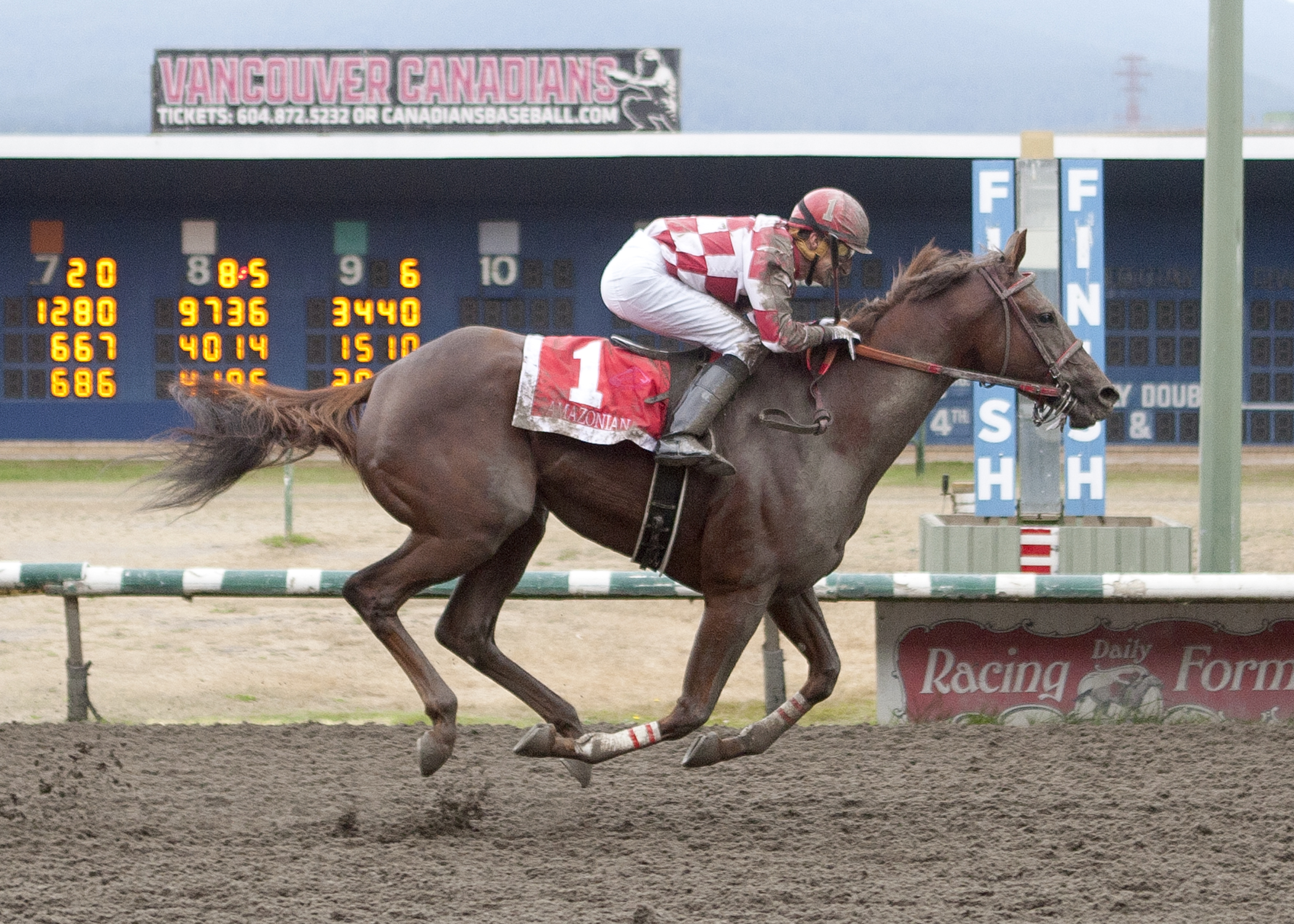 Amazonian wins the 2019 BC Oaks